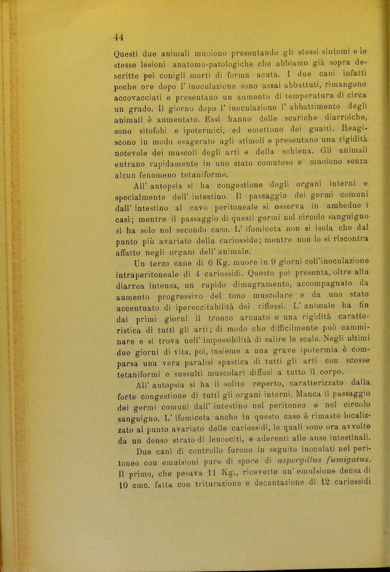 Questi due animali muoiono presentando gli stessi sintomi e le stesse lesioni anatomo-patologiclie che abbiamo già sopra de- scritte pei conigli morti di forma acuta. I due cani infatti poche ore dopo 1' inoculazione sono assai abbattuti, rimangono accovacciati e presentano un aumento di temperatura di circa un grado. Il giorno dopo l'inoculazione l'abbattimento degli animali è aumentato. Essi hanno delle scariche diarroiche, sono sitofobi e ipotermici, ed emettono dei guaiti. Reagi- scono in modo esagerato agli stimoli e presentano una rigidità notevole dei muscoli degli arti e della schiena. Gli animali entrano rapidamente in uno stato comatoso e muoiono senza alcun fenomeno tetaniforme. All' autopsia si ha congestione degli organi interni e specialmente dell' intestino. Il passaggio dei germi comuni dall' intestino al cavo peritoneale si osserva in ambedue i casi; mentre il passaggio di questi germi nel circolo sanguigno si ha solo nel secondo ca.so. L' ifomiceta non si isola che dal punto più avariato della cariosside; mentre non lo si riscontra affatto negli organi dell' animale. Un terzo cane di 6 Kg. muore in 9 giorni coU'inoculazione intraperitoneale di 4 cariossidi. Questo poi presenta, oltre alla diarrea intensa, un rapido dimagramento, accompagnato da aumento progressivo del tono muscolare e da uno stato accentuato di ipereccitabilità dei riflessi. L' animale ha fin dai primi giorni il tronco arcuato e una rigidità caratte- ristica di tutti gli arti; di modo che difficilmente può cammi- nare e si trova nell' impossibilità di salire le scale.-Negli ultimi due giorni di vita, poi, insieme a una grave ipotermia è com- parsa una vera paralisi spastica di tutti gli arti con scosse tetaniformi e sussulti muscolari diffusi a tutto il corpo. All' autopsia si ha il solito reperto, caratterizzato dalla forte congestione di tutti gli organi interni. Manca il passaggio dei germi comuni dall' intestino nel peritoneo e nel circolo sanguigno. L' ifomiceta anche in questo caso è rimasto localiz- zato al punto avariato delle cariossidi, le quali sono ora avvolte da un denso strato di leucociti, e aderenti alle anse intestinali. Due cani di controllo furono in seguito inoculati nel peri- toneo con emulsioni pure di spore di aspergillus fumigatus. 11 primo, che pesava 11 Kg., ricevette un'emulsione densa di 10 cmc. fatta con triturazione e decantazione di 12 cariossidi