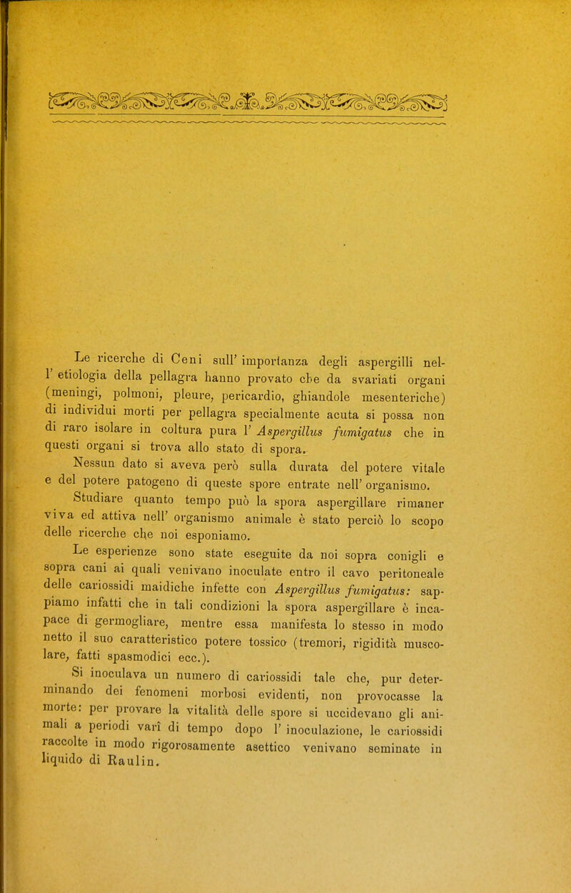 Le ricerche dì Ceni sull' importanza degli aspergini nel- r etiologia della pellagra hanno provato che da svariati organi (meningi, polmoni, pleure, pericardio, ghiandole mesenteriche) di individui morti per pellagra specialmente acuta si possa non di raro isolare in coltura pura 1' AspergilUs fumigatus che in questi organi si trova allo stato di spora. Nessun dato si aveva però sulla durata del potere vitale e del potere patogeno di queste spore entrate nell'organismo. Studiare quanto tempo può la spora aspergillare rimaner viva ed attiva nel!' organismo animale è stato perciò lo scopo delle ricerche che noi esponiamo. Le esperienze sono state eseguite da noi sopra conigli e sopra cani ai quali venivano inoculate entro il cavo peritoneale delle cariossidi maidiche infette con Aspergillus fumigatus: sap- piamo infatti che in tali condizioni la spora aspergillare è inca- pace di germogliare, mentre essa manifesta lo stesso in modo netto il suo caratteristico potere tossica (tremori, rigidità musco- lare^ fatti spasmodici ecc.). Si inoculava un numero di cariossidi tale che, pur deter- minando dei fenomeni morbosi evidenti, non provocasse la morte: per provare la vitalità delle spore si uccidevano gli ani- mali a periodi vari di tempo dopo 1' inoculazione, le cariossidi raccolte in modo rigorosamente asettico venivano seminate in liquido di Raul in.