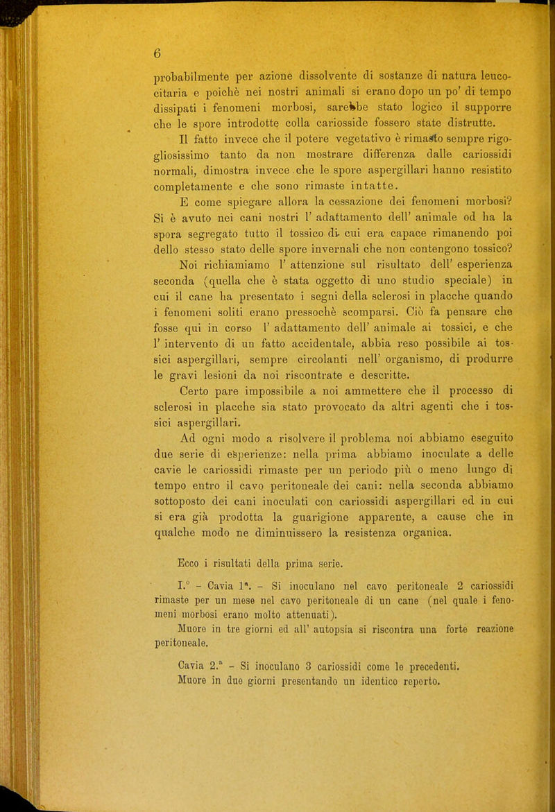 probabilmente per azione dissolvente di sostanze di natura leuco- citaria e poiché nei nostri animali si erano dopo un po' di tempo dissipati i fenomeni morbosi, sare'kbe stato logico il supporre che le spore introdotte colla cariosside fossero state distrutte. Il fatto invece che il potere vegetativo è rimasto sempre rigo- gliosissimo tanto da non mostrare differenza dalle cariossidi normali, dimostra invece , che le spore aspergillari hanno resistito completamente e che sono rimaste intatte. E come spiegare allora la cessazione dei fenomeni morbosi? Si è avuto nei cani nostri 1' adattamento dell' animale od ha la spora segregato tutto il tossico di cui era capace rimanendo poi dello stesso stato delle spore invernali che non contengono tossico? Noi richiamiamo 1' attenzione sul risultato dell' esperienza seconda (quella che è stata oggetto di uno studio speciale) in cui il cane ha presentato i segni della sclerosi in placche quando i fenomeni soliti erano pressoché scomparsi. Ciò fa pensare che fosse qui in corso 1' adattamento dell' animale ai tossici, e che r intervento di un fatto accidentale, abbia reso possibile ai tos- sici aspergillari, sempre circolanti nell' organismo, di produrre le gravi lesioni da noi riscontrate e descritte. Certo pare impossibile a noi ammettere che il processo di sclerosi in placche sia stato provocato da altri agenti che i tos- sici aspergillari. Ad ogni modo a risolvere il problema noi abbiamo eseguito due sei'ie di esperienze: nella prima abbiamo inoculate a delle cavie le cariossidi rimaste per un periodo più o meno lungo di tempo entro il cavo peritoneale dei cani: nella seconda abbiamo sottoposto dei cani inoculati con cariossidi aspergillari ed in cui si era già prodotta la guarigione apparente, a cause che in qualche modo ne diminuissero la resistenza organica. Ecco i risultati della prima serie. I.° - Cavia 1. - Si inoculano nel cavo peritoneale 2 cariossidi rimaste per un mese nel cavo peritoneale di un cane (nel quale i feno- meni morbosi erano molto attenuati). Muore in tre giorni ed all' autopsia si riscontra una forte reazione peritoneale. Cavia 2.* - Si inoculano 3 cariossidi come le precedenti. Muore in due giorni presentando un identico reporto.