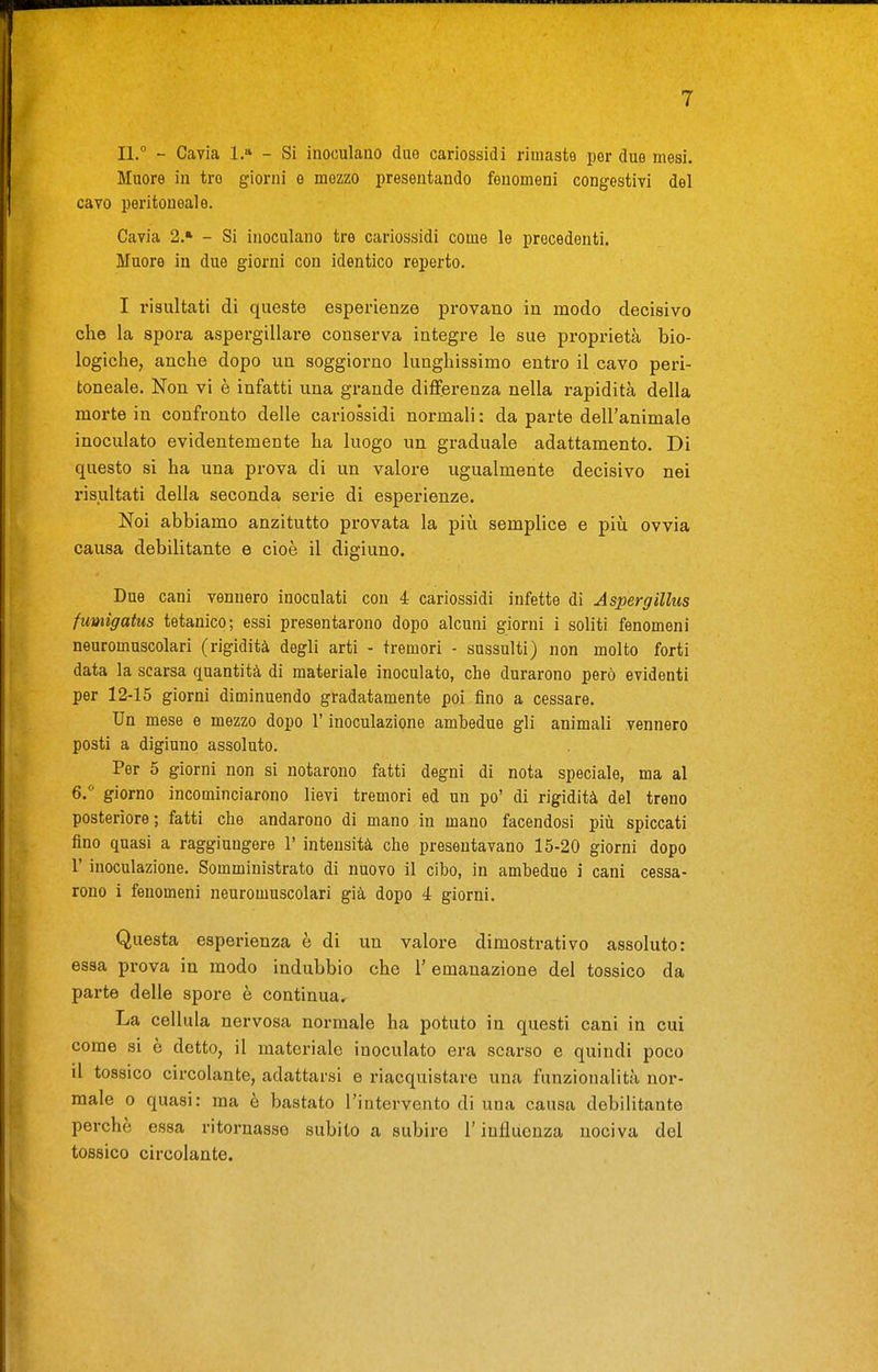 Il.° - Cavia 1.» - Si inoculano due cariossidi rimaste per duo mesi. Muore in tre giorni e mezzo presentando fenomeni congestivi del cavo peritoneale. Cavia 2.* - Si inoculano tre cariossidi come le precedenti. Muore in due giorni con identico reperto. I risultati di queste esperienze provano in modo decisivo che la spoi-a aspergillare conserva integre le sue proprietà bio- logiche, anche dopo un soggiorno lunghissimo entro il cavo peri- toneale. Non vi è infatti una grande differenza nella rapidità della morte in confronto delle cariossidi normali : da parte dell'animale inoculato evidentemente ha luogo un graduale adattamento. Di questo si ha una prova di un valore ugualmente decisivo nei risultati della seconda serie di esperienze. Noi abbiamo anzitutto provata la più semplice e più ovvia causa debilitante e cioè il digiuno. Due cani vennero inoculati con 4 cariossidi infette di Aspergillus fumigatus tetanico; essi presentarono dopo alcuni giorni i soliti fenomeni neuromuscolari (rigidità degli arti - tremori - sussulti) non molto forti data la scarsa quantità di materiale inoculato, che durarono però evidenti per 12-15 giorni diminuendo gradatamente poi fino a cessare. Un mese e mezzo dopo l'inoculazione ambedue gli animali vennero posti a digiuno assoluto. Per 5 giorni non si notarono fatti degni di nota speciale, ma al 6. giorno incominciarono lievi tremori ed un po' di rigidità del treno posteriore; fatti che andarono di mano in mano facendosi più spiccati fino quasi a raggiungere 1' intensità che presentavano 15-20 giorni dopo r inoculazione. Somministrato di nuovo il cibo, in ambedue i cani cessa- rono i fenomeni neuromuscolari già dopo 4 giorni. Questa esperienza è di un valore dimostrativo assoluto: essa prova in modo indubbio che V emanazione del tossico da parte delle spore è continua. La cellula nervosa normale ha potuto in questi cani in cui come si è detto, il materiale inoculato era scarso e quindi poco il tossico circolante, adattarsi e riacquistare una funzionalità nor- male 0 quasi: ma è bastato l'intervento di una causa debilitante perchè essa ritornasse subito a subire l'influenza nociva del tossico circolante.