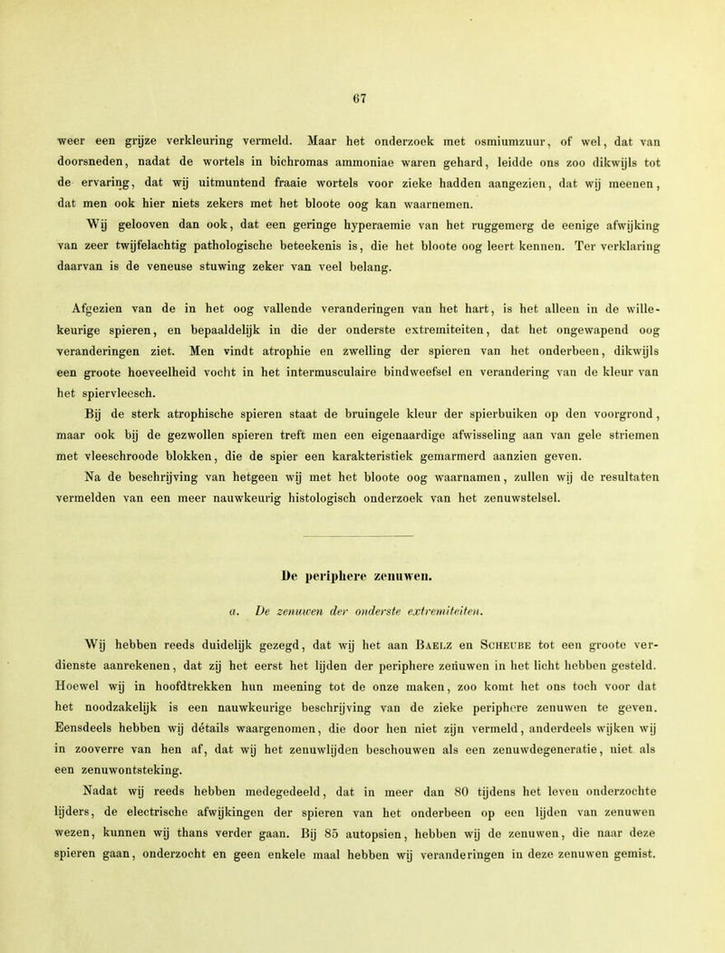 weer een grijze verkleuring vermeld. Maar het onderzoek met osmiumzuur, of wel, dat van doorsneden, nadat de wortels in bichromas ammoniae waren gehard, leidde ons zoo dikwijls tot de ervaring, dat wij uitmuntend fraaie wortels voor zieke hadden aangezien, dat wij meenen, dat men ook hier niets zekers met het bloote oog kan waarnemen. Wij gelooven dan ook, dat een geringe hyperaemie van het ruggemerg de eenige afwijking van zeer twijfelachtig pathologische beteekenis is, die het bloote oog leert kennen. Ter verklaring daarvan is de veneuse stuwing zeker van veel belang. Afgezien van de in het oog vallende veranderingen van het hart, is het alleen in de wille- keurige spieren, en bepaaldelijk in die der onderste extremiteiten, dat het ongewapend oog veranderingen ziet. Men vindt atrophie en zwelling der spieren van het onderbeen, dikwijls een groote hoeveelheid vocht in het intermusculaire bindweefsel en verandering van de kleur van het spiervleesch. Bij de sterk atrophische spieren staat de bruingele kleur der spierbuiken op den voorgrond, maar ook bij de gezwollen spieren treft men een eigenaardige afwisseling aan van gele striemen met vleeschroode blokken, die de spier een karakteristiek gemarmerd aanzien geven. Na de beschrijving van hetgeen wij met het bloote oog waarnamen, zullen wij de resultaten vermelden van een meer nauwkeurig histologisch onderzoek van het zenuwstelsel. De periphere zenuwen. a. De zenuwen der onderste extremiteiten. Wij hebben reeds duidelijk gezegd, dat wij het aan Baelz en Scheube tot een groote ver- dienste aanrekenen, dat zij het eerst het lijden der periphere zenuwen in het licht hebben gesteld. Hoewel wij in hoofdtrekken hun meening tot de onze maken, zoo komt het ons toch voor dat het noodzakehjk is een nauwkeurige beschrijving van de zieke periphere zenuwen te geven. Eensdeels hebben wij détails waargenomen, die door hen niet zijn vermeld, anderdeels wijken wij in zooverre van hen af, dat wij het zenuwlijden beschouwen als een zenuwdegeneratie, niet als een zenuwontsteking. Nadat wij reeds hebben medegedeeld, dat in meer dan 80 tijdens het leven onderzochte lijders, de electrische afwijkingen der spieren van het onderbeen op een lijden van zenuwen wezen, kunnen wij thans verder gaan. Bij 85 autopsien, hebben wij de zenuwen, die naar deze spieren gaan, onderzocht en geen enkele maal hebben wij veranderingen in deze zenuwen gemist.