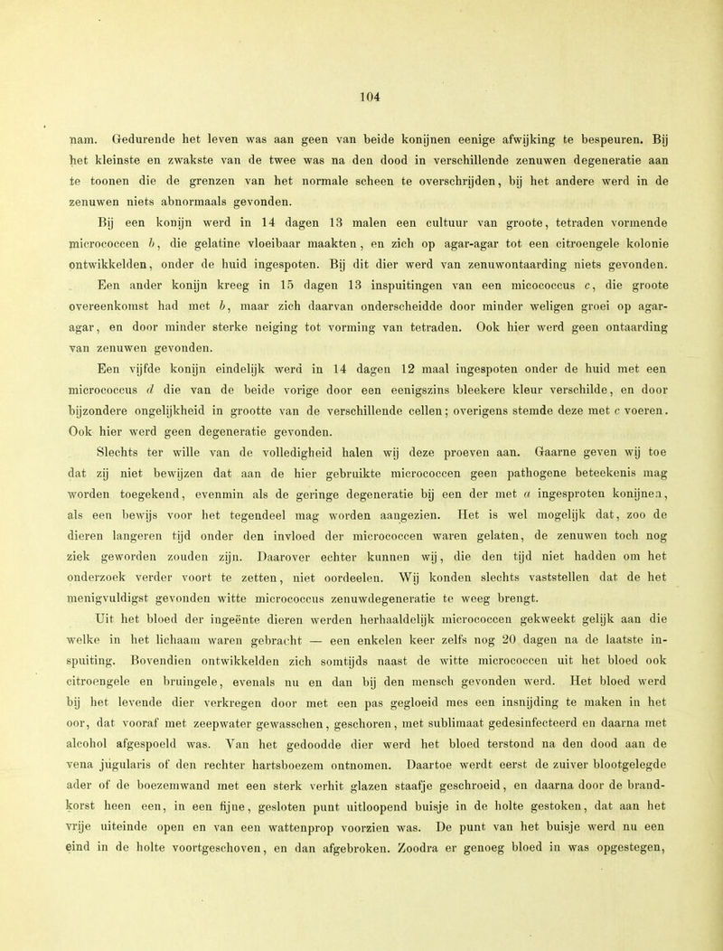 nam. Gedurende het leven was aan geen van beide konijnen eenige afwijking te bespeuren. Bij het kleinste en zwakste van de twee was na den dood in verschillende zenuwen degeneratie aan te toonen die de grenzen van het normale scheen te overschrijden, bij het andere werd in de zenuwen niets abnormaals gevonden. Bij een konijn werd in 14 dagen 13 malen een cultuur van groote, tetraden vormende micrococcen b, die gelatine vloeibaar maakten , en zich op agar-agar tot een citroengele kolonie ontwikkelden, onder de huid ingespoten. Bij dit dier werd van zenuwontaarding niets gevonden. Een ander konijn kreeg in 15 dagen 13 inspuitingen van een micococcus c, die groote overeenkomst had met b, maar zich daarvan onderscheidde door minder weligen groei op agar- agar , en door minder sterke neiging tot vorming van tetraden. Ook hier werd geen ontaarding van zenuwen gevonden. Een vijfde konijn eindelijk werd in 14 dagen 12 maal ingespoten onder de huid met een micrococcus d die van de beide vorige door een eenigszins bleekere kleur verschilde, en door bijzondere ongelijkheid in grootte van de verschillende cellen; overigens stemde deze met c voeren. Ook hier werd geen degeneratie gevonden. Slechts ter wille van de volledigheid halen wij deze proeven aan. Graarne geven wij toe dat zij niet bewijzen dat aan de hier gebruikte micrococcen geen pathogene beteekenis mag worden toegekend, evenmin als de geringe degeneratie bij een der met a ingesproten konijnen, als een bewijs voor het tegendeel mag worden aangezien. Het is wel mogelijk dat, zoo de dieren langeren tijd onder den invloed der micrococcen waren gelaten, de zenuwen toch nog ziek geworden zouden zijn. Daarover echter kunnen wij, die den tijd niet hadden om het onderzoek verder voort te zetten, niet oordeelen. Wij konden slechts vaststellen dat de het menigvuldigst gevonden witte micrococcus zenuwdegeneratie te weeg brengt. Uit het bloed der ingeente dieren werden herhaaldelijk micrococcen gekweekt gelijk aan die welke in het lichaam waren gebracht — een enkelen keer zelfs nog 20 dagen na de laatste in- spuiting. Bovendien ontwikkelden zich somtijds naast de witte micrococcen uit het bloed ook citroengele en bruingele, evenals nu en dan bij den mensch gevonden werd. Het bloed werd bij het levende dier verkregen door met een pas gegloeid mes een insnijding te maken in het oor, dat vooraf met zeepwater gewasschen, geschoren, met sublimaat gedesinfecteerd en daarna met alcohol afgespoeld was. Van het gedoodde dier werd het bloed terstond na den dood aan de vena jügularis of den rechter hartsboezem ontnomen. Daartoe werdt eerst de zuiver blootgelegde ader of de boezemwand met een sterk verhit glazen staafje geschroeid, en daarna door de brand- korst heen een, in een fijne, gesloten punt uitloopend buisje in de holte gestoken, dat aan het vrije uiteinde open en van een wattenprop voorzien was. De punt van het buisje werd nu een eind in de holte voortgeschoven, en dan afgebroken. Zoodra er genoeg bloed in was opgestegen,