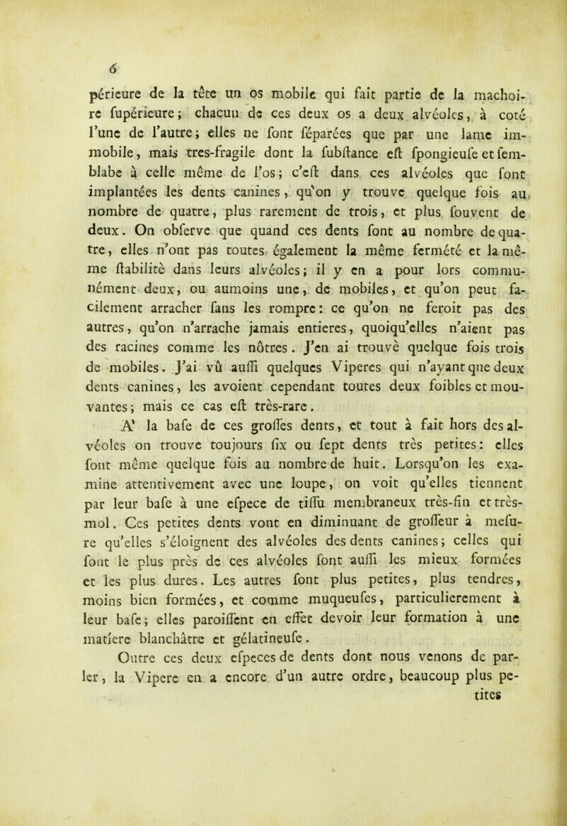 péricure de la tête un os mobile qui fait partie de la mâchoi- re fupërieure; chacun de ces deux os a deux alvéoles, à coté l'une de Tautre; elles ne font féparées que par une lame im- mobile , mzis tres-fragile dont la fubUance eft fpongieufe et fem- blabc à celle même de l'os; c'cfl dans ces alvéoles que font implantées les dents canines, qu'ion y trouve quelque fois au. nombre de quatre, plus rarement de trois, et plus ibuvent de deux. On obferve que quand ces dents font au nombre de qua- tre, elles n'ont pas toutes également la même fcrmété et la mê- me fiabilité dans leurs alvéoles; il y en a pour lors commu- nément deux, ou aumoins une, de mobiles, et qu'on peut fa- cilement arracher fans les rompre: ce qu'on ne feroit pas des autres, qu'on n'arrache jamais entières, quoiqu'elles n'aient pas des racines comme les nôtres. J'en ai trouvé quelque fois trois de mobiles. J'ai vû auffi quelques Vipères qui n'ayant que deux dents canines, les avoient cependant toutes deux faibles et mou- vantes ; mais ce cas eft très-rare. A' la bafe de ces grolTes dents, et tout à fait hors des al- véoles on trouve toujours fix ou fept dents très petites: elles font même quelque fois au nombre de huit. Lorsqu'on les exa- mine attentivement avec une loupe, on voit qu'elles tiennent par leur bafe à une efpece de tifTu membraneux très-fîn et très- mol. Ces petites dents vont en diminuant de grolTeur à mefu- re qu'elles s'éloignent des alvéoles des dents canines; celles qui font le plus près de ces alvéoles font auiïl les mieux formées et les plus dures. Les autres font plus petites, plus tendres, moins bien formées, et comme muqueufes, particulièrement à leur bafe; elles paroifîcnt en elfet devoir leur formation à une matière blanchâtre et gélatineufe. Outre ces deux cfpcces de dents dont nous venons de par- ler, la Vipère en a encore d'un autre ordre, beaucoup plus pe- tites