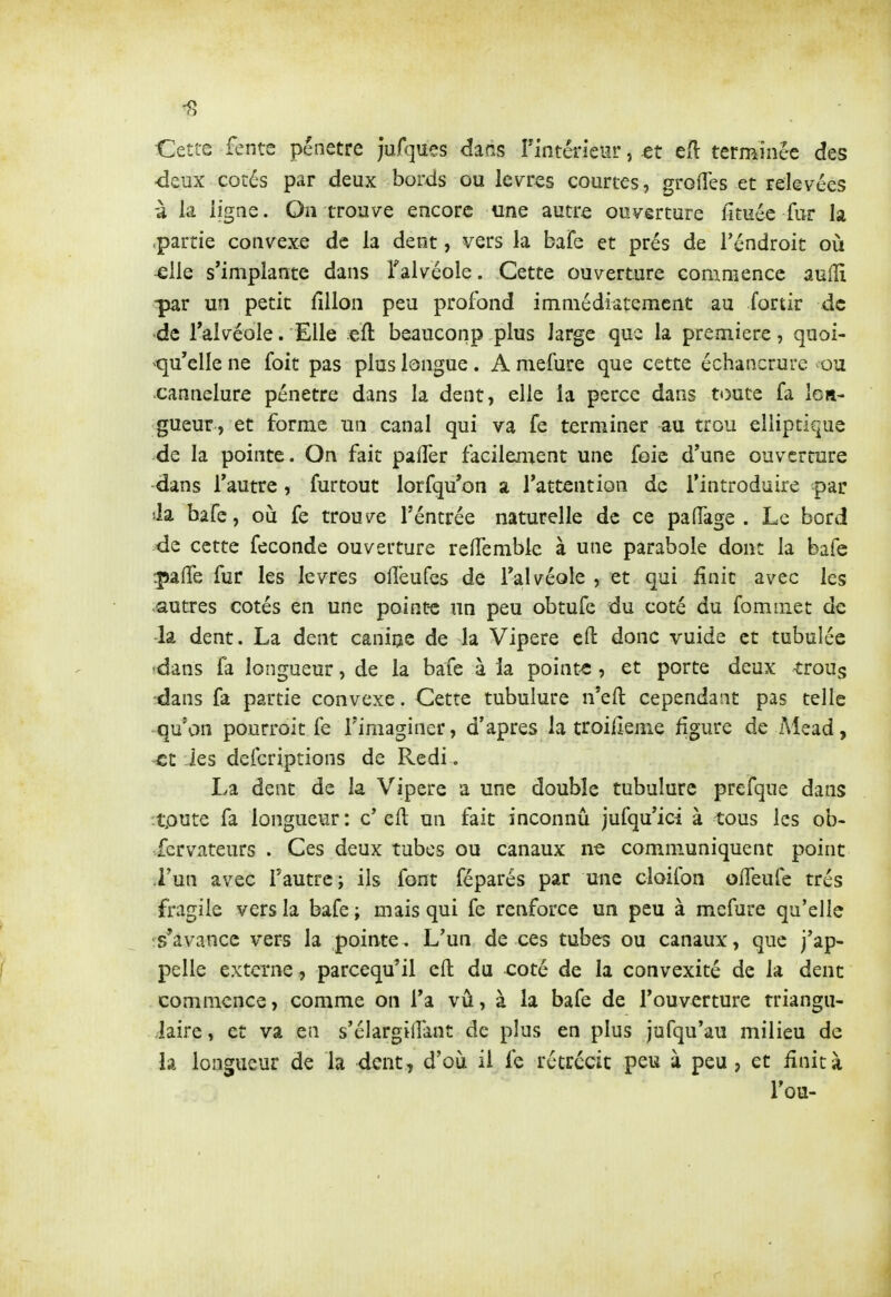 Cette fente pénètre jufques dans rintérieiir, tt eH terminée des deux cotés par deux bords ou lèvres courtes, grofîes et relevées à la ligne. On trouve encore tine autre ouverture fi tuée fur h .partie convexe de la dent, vers la bafe et prés de l'endroit où -elle s'implante dans Talvéole. Cette ouverture commence auiïï un petit llllon peu profond immédiatement au fortir de de falvéole. Elle eft beaucoup plus large que la première, quoi- qu'elle ne foit pas plus longue. A mefure que cette échancrure ou cannelure pénètre dans la dent, elle la perce dans toute fa lon- gueur, et forme un canal qui va fe terminer au trou elliptique -de la pointe. On fait palier faeilenient une foie d'une ouverture dans l'autre, furtout lorfqu'on a l'attention de l'introduire par ■h bafe, où fe trouve l'éntrée naturelle de ce padage . Le bord de cette féconde ouverture reffemble à une parabole dont la baie îpalTe fur les lèvres ofîèufes de l'alvéole , et qui finit avec les autres cotés en une point-c un peu obtufe du coté du fommet de ■la dent. La dent canine de la Vipère efl: donc vuide et tubulée tdans fa longueur, de la bafe à la points , et porte deux troug dans fa partie convexe. Cette tubulure n'efl: cependant pas telle -qu'on pourroit fe l'imaginer, d'après la troifieme figure de Mead, -£t les defcriptions de Redi. La dent de la Vipère a une double tubulure prefque dans toute fa longueur : c' eft un fait inconnu jufqu'ici à tous les ob- •Xcrvateurs . Ces deux tubes ou canaux ne communiquent point i'un avec l'autre; ils font féparés par une cloifon oiTeufe très fragile vers la bafe ; mais qui fe renforce un peu à mefure qu'elle rs'avancc vers la pointe. L'un de ces tubes ou canaux, que j'ap- pelle externe , parcequ'il eft: du coté de la convexité de la dent commence, comme on l'a vû, à la bafe de l'ouverture triangu- laire , et va en s'élargilîant de plus en plus jufqu'au milieu de la longueur de la dent , d'où il fe rétrécit peu à peu , et finit à l'ou-