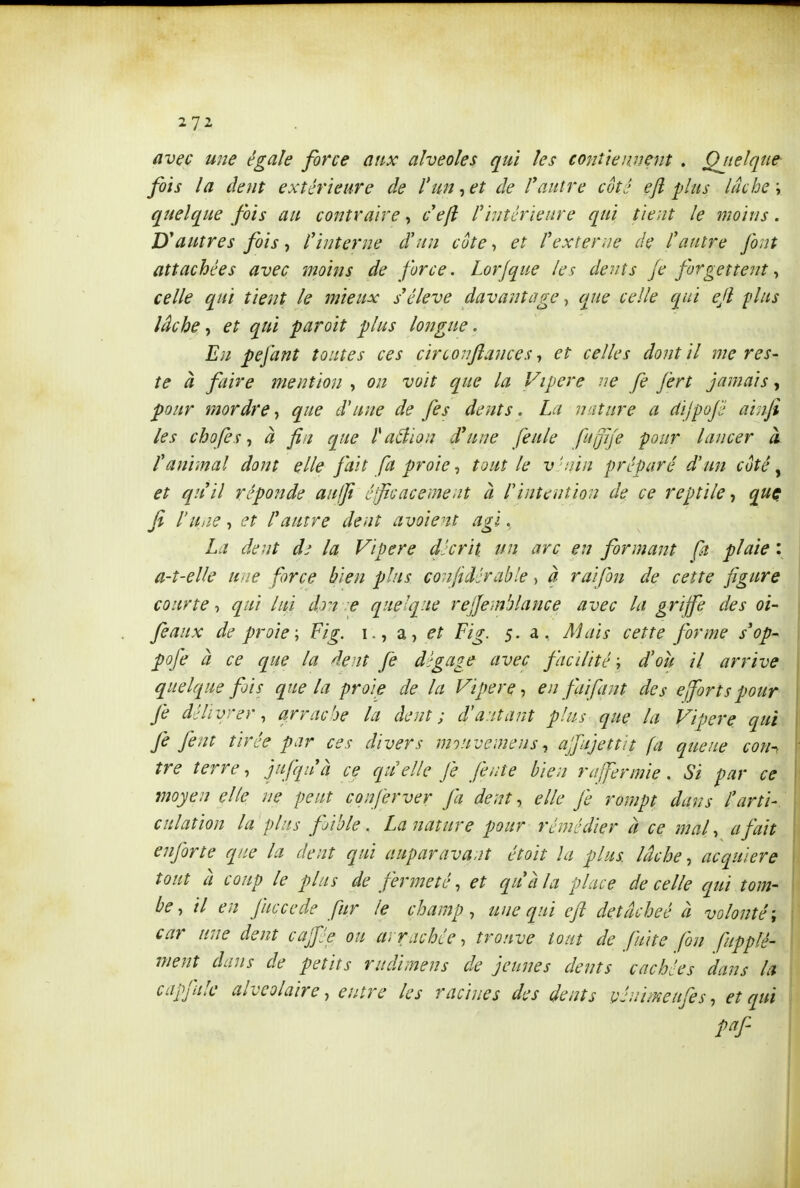 avec une égale force aux alvéoles qui les conùeiwent . Qjielqne- fois la âent extérieure de l'un, et de l'autre côté eft plus lâche i quelque fois au contraire, c'ejl l'intérieure qui tient le moins. autres fois, l'interne d'un côte, et l'externe de l'autre font attachées avec moins de force. Lorjque la dents Je forgettent ^ celle qui tient le mieux s'élève davantage, que celle qui eft flus lâche, et qui par oit plus longue. En pefant toutes ces circonflances -, et celles dont il me res- te à faire mention , on voit que la Vipère ne fe fert jamais, pour mordre, que d'une de fes dents. La nature a dijpojé ainfi les chofes ^ à fin que t aâion d'une feule fuijije pour lancer à l'animal dont elle fait fa proie tout le v'ain préparé d'un côté ^ et qu'il réponde auft éjficacer/ient à l'intention de ce reptile-, que fi l'une, et l'autre dent avaient agi, La dent d:^ la Vipère décrit un arc en formant fa plaie : a-t-elle une force bien pins conjidérable, à rai fin de cette figure courte -, qui lui d,rt -e quelque refiemblance avec la griffe des oi- feaux de proie; Fig. i., a, et Fig. 5. a, Mais cette forme s'op- pofe à ce que la dent Je dégage avec facilité ; d'où il arrive quelque fois que la proie de la Vipère-, en fui fiant des efort s pour fe délivrer^ arrache la dent ; d'autant plus que la Vipère qui fie Jent tirée par ces divers mouvemens-, ajjujettit fa queue cou-, tre terre, jufqn'à ce qu'elle fie Jente bien rafermie. Si par ce moyen elle ne peut confirver fia dent, elle fie rompt dan s l'arti-. culation la plus fijible. La nature pour rémédier à ce mal, a fiait enjorte que la dent qui auparavant étoit la plus lâche, acquière tout à coup le plus de fermeté, et qu'à la place de celle qui tom- be, il en Juccede fur le champ, une qui efl detâcheé à volonté \ car une dent cajfiée ou arrachée-, trouve tout de fuite fou fupplé- ment dans de petits ritdimens de jeunes dents cachées dans la capfiiile alvéolaire, entre les racines des dents véuimeufts, et qui paf