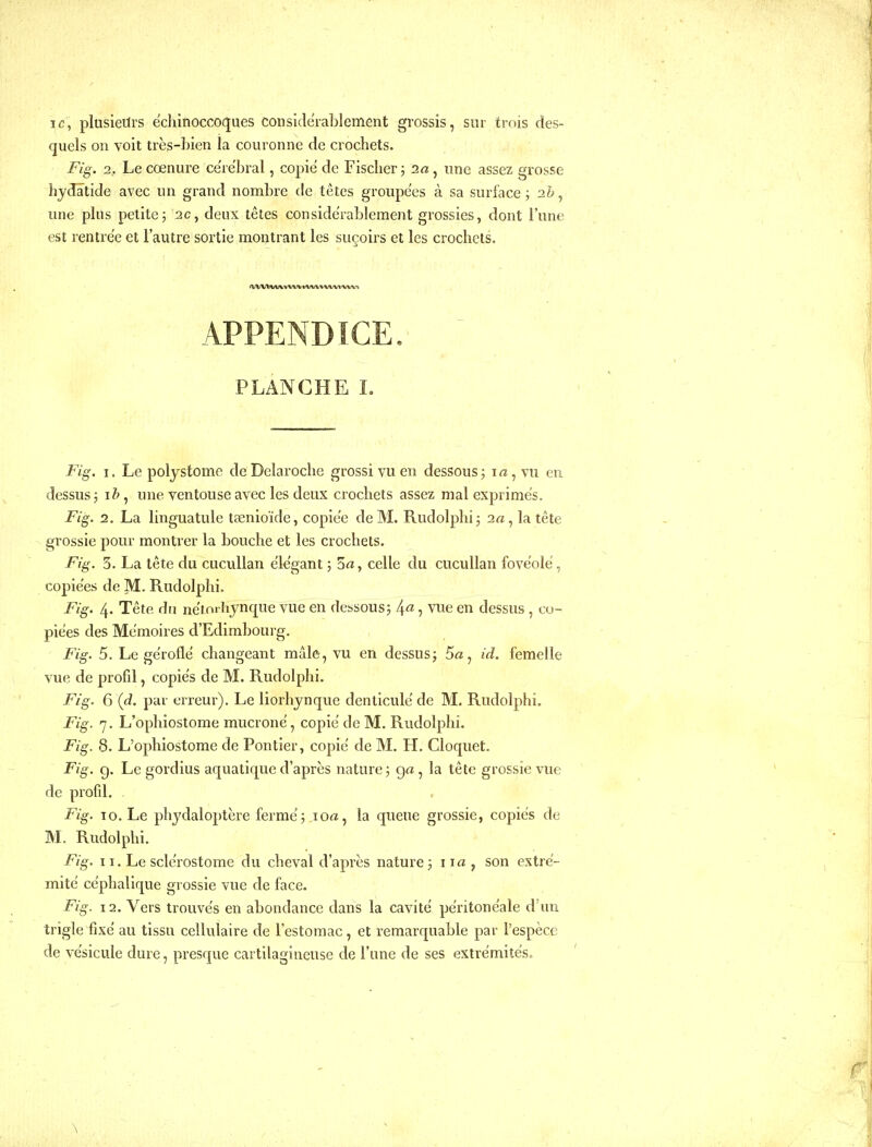 ic, plusieurs echinoccoques considérablement grossis, sur trois des- quels on voit très-bien la couronne de crochets. Fig. 2, Lecœnure cérébral, copié de Fischer; aa, une assez grosse hjdâtide avec un grand nombre de têtes groupées à sa surface; 2&, une plus petite; 2c, deux têtes considérablement grossies, dont l'une est rentrée et l'autre sortie montrant les suçoirs et les crochets. PLANCHE L Fig. 1. Le polystome de Dclaroche grossi vu en dessous ; i «, vu en dessus ; i &, une ventouse avec les deux crochets assez mal exprimés. Fig. 2. La linguatule taenioïde, copiée de M. Rudolphi; 2«, la tête grossie pour montrer la bouche et les crochets. Fig. 3. La tête du cucullan élégant ; 5^, celle du cucullan fovéolé, copiées de M. Rudolphi. Fig. 4. Tête du nétnrliynque vue en dessous; 4^ 1 vue en dessus, co- piées des Mémoires d'Edimbourg. Fig. 5. Le géroflé changeant mâle, vu en dessus; 5a, id. femelle vue de profil, copiés de M. Rudolphi. Fig. 6 (<^. par erreur). Le liorhjnque denticulé de M. Rudolphi. Fig. 7, L'ophiostome mucroné, copié de M. Rudolphi. Fig. 8. L'ophiostome de Pontier, copié de M. H. Cloquet. Fig. g. Le gordius aquatique d'après nature; g«, la tête grossie vue de profil. Fig. 10. Le phydaloptère fermé; loa, la queue grossie, copiés de M. Rudolphi. Fig. 11. Le sclérostome du cheval d'après nature; iirt, son extré- mité céphalique grossie vue de face. Fig. 12. Vers trouvés en abondance dans la cavité péritonéale d'un trigle fixé au tissu cellulaire de l'estomac, et remarquable par l'espèce de vésicule dure, presque cartilagineuse de l'une de ses extrémités. \