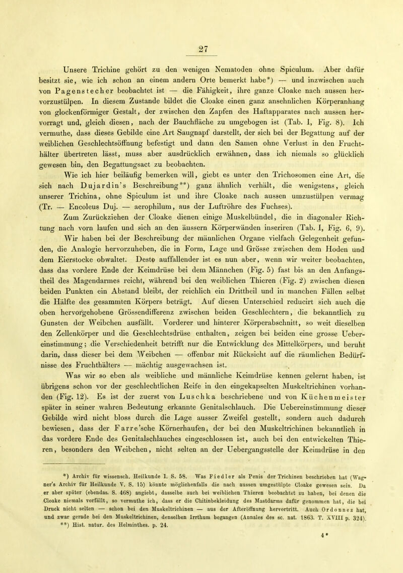 Unsere Trichine gehört zu den wenigen Nematoden ohne Spiculum. Aber dafür besitzt sie, wie ich schon an einem andern Orte bemerkt habe*) — und inzwischen auch von Pagenstecher beobachtet ist — die Fähigkeit, ihre ganze Cloake nach aussen her- vorzustülpen. In diesem Zustande bildet die Cloake einen ganz ansehnlichen Körperanhang von glockenförmiger Gestalt, der zwischen den Zapfen des Haftapparates nach aussen her- vorragt und, gleich diesen, nach der Bauchfläche zu umgebogen ist (Tab. 1, Fig. 8). Ich vermuthe, dass dieses Gebilde eine Art Saugnapf darstellt, der sich bei der Begattung auf der weiblichen GeschlechtsöflTnung befestigt und dann den Samen ohne Verlust in den Frucht- hälter übertreten lässt, muss aber ausdrücklich erwähnen, dass ich niemals so glücklich gewesen bin, den Begattungsact zu beobachten. Wie ich hier beiläufig bemerken will, giebt es unter den Trichosoraen eine Art, die sich nach Duj ardin's Beschreibung**) ganz ähnlich verhält, die wenigstens, gleich unserer Trichina, ohne Spiculum ist und ihre Cloake nach aussen umzustülpen vermag (Tr. — Encoleus Duj. — aerophilum, aus der Luftröhre des Fuchses). Zum Zurückziehen der Cloake dienen einige Muskelbündel, die in diagonaler Rich- tung nach vorn laufen und sich an den äussern Körperwänden inseriren (Tab. I, Fig. 6, 9). Wir haben bei der Beschreibung der männlichen Organe vielfach Gelegenheit gefun- den, die Analogie hervorzuheben, die in Form, Lage und Grösse zwischen dem Hoden und dem Eierstocke obwaltet. Desto auffallender ist es nun aber, wenn wir weiter beobachten, dass das vordere Ende der Keimdrüse bei dem Männchen (Fig. 5) fast bis an den Anfangs- theil des Magendarraes reicht, während bei den weiblichen Thieren (Fig. 2) zwischen diesen beiden Punkten ein Abstand bleibt, der reichlich ein Drittheil und in manchen Fällen selbst die Hälfte des gesammten Körpers beträgt. Auf diesen Unterschied reducirt sich auch die oben hervorgehobene GrössendifFerenz zwischen beiden Geschlechtern, die bekanntlich zu Gunsten der Weibchen ausfällt. Vorderer und hinterer Körperabschnitt, so weit dieselben den Zellenkörper und die Geschlechtsdrüse enthalten, zeigen bei beiden eine grosse Ueber- einstimmung; die Verschiedenheit betrifft nur die Entwicklung des Mittelkörpers, und beruht darin, dass dieser bei dem Weibchen — offenbar mit Rücksicht auf die räumlichen Bedürf- nisse des Fruchthälters — mächtig ausgewachsen ist. Was wir so eben als weibliche und männliche Keimdrüse kennen gelernt haben, ist übrigens schon vor der geschlechtlichen Reife in den eingekapselten Muskeltrichinen vorhan- den (Fig. 12). Es ist der zuerst von Luschka beschriebene und von Küchenmeister später in seiner wahren Bedeutung erkannte Genitalschlauch. Die Uebereinstimmung dieser Gebilde wird nicht bloss durch die Lage ausser Zweifel gestellt, sondern auch dadurch bewiesen, dass der Farre'sche Körnerhaufen, der bei den Muskeltrichinen bekanntlich in das vordere Ende des Genitalschlauches eingeschlossen ist, auch bei den entwickelten Thie- ren , besonders den Weibchen, nicht selten an der Uebergangsstelle der Keimdrüse in den *) Archiv für wissensch. Heilkunde I. S. 58. Was Fiedler als Penis der Trichinen beschrieben hat (Wag- ner's Archiv für Heilkunde V. S. 15) könnte möglichenfalls die nach aussen umgestülpte Cloake gewesen sein. Da er aber später (ebendas. S. 468) angiebt, dasselbe auch bei weiblichen Thieren beobachtet zu haben, bei denen die Cloake niemals vorfällt, so vermuthe ich, dass er die Chitinbekleidung des Mastdarms dafür genommen hat, die bei Druck nicht selten — schon bei den Muskeltrichinen — aus der Afteräffnung hervortritt. Auch Ordonnez hat, und zwar gerade bei den Muskeltrichinen, denselben Irrthum begangen (Annales des sc. nat. 1863. T. XVIII p. 324). **) Hist. natur. des Helminthes. p. 24. 4«
