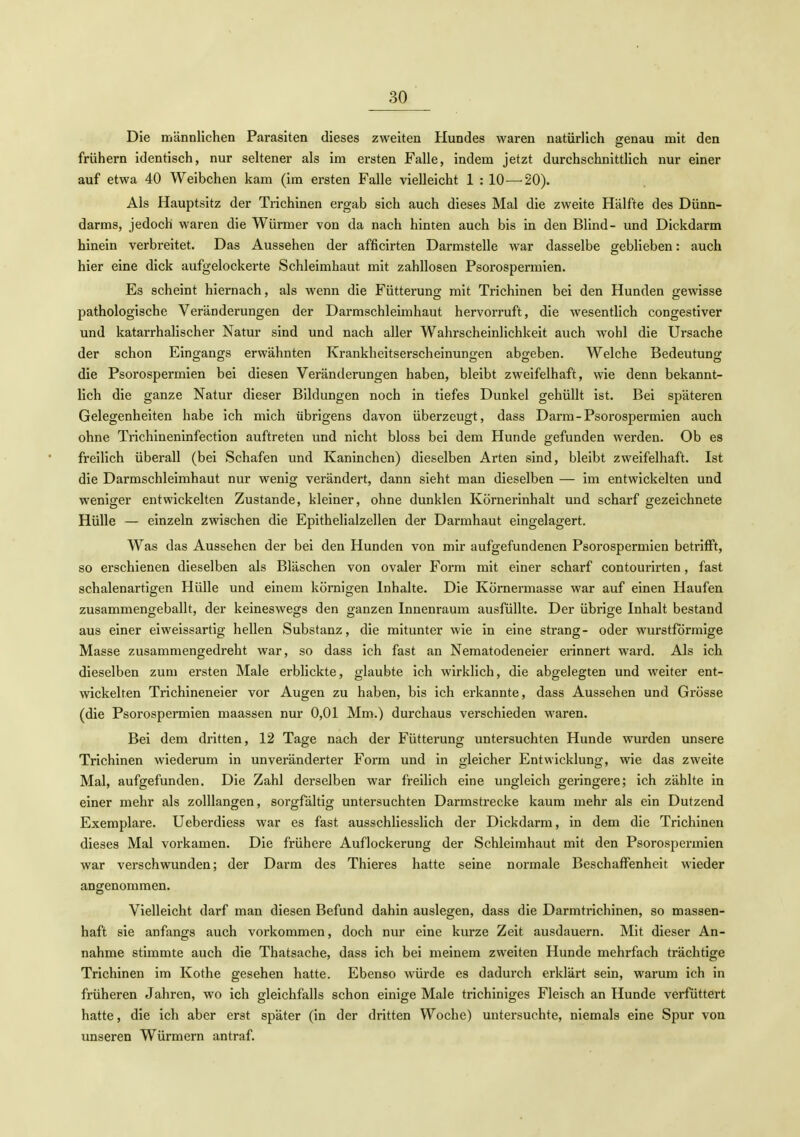 Die irjännlichen Parasiten dieses zweiten Hundes waren natürlich genau mit den frühern identisch, nur seltener als im ersten Falle, indem jetzt durchschnittlich nur einer auf etwa 40 Weibchen kam (im ersten Falle vielleicht 1 : 10^—^20). Als Hauptsitz der Trichinen ergab sich auch dieses Mal die zweite Hälfte des Dünn- darms, jedoch waren die Würmer von da nach hinten auch bis in den Blind- und Dickdarm hinein verbreitet. Das Aussehen der afficirten Darmstelle war dasselbe geblieben: auch hier eine dick aufgelockerte Schleimhaut mit zahllosen Psorospermien. Es scheint hiernach, als wenn die Fütterung mit Trichinen bei den Hunden gewisse pathologische Veränderungen der Darmschleimhaut hervorruft, die wesentlich congestiver und katarrhalischer Natur sind und nach aller Wahrscheinlichkeit auch wohl die Ursache der schon Eingangs erwähnten Krankheitserscheinungen abgeben. Welche Bedeutung die Psorospermien bei diesen Veränderungen haben, bleibt zweifelhaft, wie denn bekannt- lich die ganze Natur dieser Bildungen noch in tiefes Dunkel gehüllt ist. Bei späteren Gelegenheiten habe ich mich übrigens davon überzeugt, dass Darm-Psorospermien auch ohne Trichinenlnfection auftreten und nicht bloss bei dem Hunde gefunden werden. Ob es freilich überall (bei Schafen und Kaninchen) dieselben Arten sind, bleibt zweifelhaft. Ist die Darmschleimhaut nur wenig verändert, dann sieht man dieselben — im entwickelten und weniger entwickelten Zustande, kleiner, ohne dunklen Körnerinhalt und scharf gezeichnete Hülle — einzeln zwischen die Epithelialzellen der Darmhaut eingelagert. Was das Aussehen der bei den Hunden von mir aufgefundenen Psorospermien betrifft, so erschienen dieselben als Bläschen von ovaler Form mit einer scharf contourirten, fast schalenartigen Hülle und einem körnigen Inhalte. Die Körnermasse war auf einen Haufen zusammengeballt, der keineswegs den ganzen Innenraum ausfüllte. Der übrige Inhalt bestand aus einer eiweissartig hellen Substanz, die mitunter wie in eine sträng- oder wurstförmige Masse zusammengedreht war, so dass ich fast an Nematodeneier erinnert ward. Als ich dieselben zum ersten Male erblickte, glaubte ich wirklich, die abgelegten und weiter ent- wickelten Trichineneier vor Augen zu haben, bis ich erkannte, dass Aussehen und Grösse (die Psorospermien maassen nur 0,01 Mm.) durchaus verschieden waren. Bei dem dritten, 12 Tage nach der Fütterung untersuchten Hunde wurden unsere Trichinen wiederum in unveränderter Form und in gleicher Entwicklung, wie das zweite Mal, aufgefunden. Die Zahl derselben war freilich eine ungleich geringere; ich zählte in einer mehr als zolllangen, sorgfältig untersuchten Darmstrecke kaum mehr als ein Dutzend Exemplare. Ueberdiess war es fast ausschliesslich der Dickdarm, in dem die Trichinen dieses Mal vorkamen. Die frühere Auflockerung der Schleimhaut mit den Psorospermien war verschwunden; der Darm des Thieres hatte seine normale Beschaffenheit wieder angenommen. Vielleicht darf man diesen Befund dahin auslegen, dass die Darmtrichinen, so massen- haft sie anfangs auch vorkommen, doch nur eine kurze Zeit ausdauern. Mit dieser An- nahme stimmte auch die Thatsache, dass ich bei meinem zweiten Hunde mehrfach trächtige Trichinen im Kothe gesehen hatte. Ebenso würde es dadurch erklärt sein, warum ich in früheren Jahren, wo ich gleichfalls schon einige Male trichiniges Fleisch an Hunde verfüttert hatte, die ich aber erst später (in der dritten Woche) untersuchte, niemals eine Spur von unseren Würmern antraf.