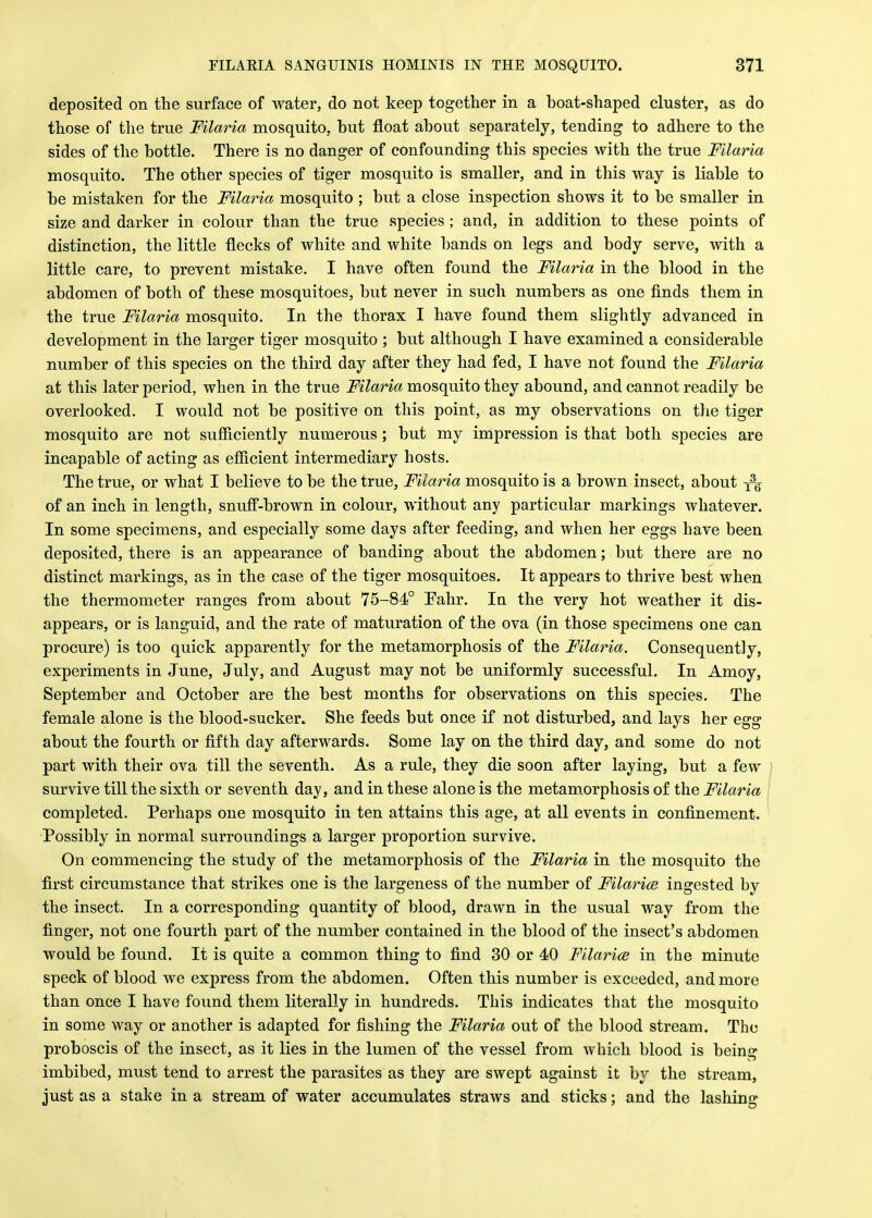 deposited on the surface of water, do not keep together in a boat-shaped cluster, as do those of the true Filaria mosquito, but float about separately, tending to adhere to the sides of the bottle. There is no danger of confounding this species with the true Filaria mosquito. The other species of tiger mosquito is smaller, and in this way is liable to be mistaken for the Filaria mosquito ; but a close inspection shows it to be smaller in size and darker in colour than the true species ; and, in addition to these points of distinction, the little flecks of white and white bands on legs and body serve, with a little care, to prevent mistake. I have often found the Filaria in the blood in the abdomen of both of these mosquitoes, but never in such numbers as one finds them in the true Filaria mosquito. In the thorax I have found them slightly advanced in development in the larger tiger mosquito ; but although I have examined a considerable number of this species on the third day after they had fed, I have not found the Filaria at this later period, when in the true Filaria mosquito they abound, and cannot readily be overlooked. I would not be positive on this point, as my observations on the tiger mosquito are not sufficiently numerous; but my impression is that both species are incapable of acting as efficient intermediary hosts. The true, or what I believe to be the true, Filaria mosquito is a brown insect, about ^ of an inch in length, snuff-brown in colour, without any particular markings whatever. In some specimens, and especially some days after feeding, and when her eggs have been deposited, there is an appearance of banding about the abdomen; but there are no distinct markings, as in the case of the tiger mosquitoes. It appears to thrive best when the thermometer ranges from about 75-84° Fahr. In the very hot weather it dis- appears, or is languid, and the rate of maturation of the ova (in those specimens one can procure) is too quick apparently for the metamorphosis of the Filaria. Consequently, experiments in June, July, and August may not be uniformly successful. In Amoy, September and October are the best months for observations on this species. The female alone is the blood-sucker. She feeds but once if not disturbed, and lays her egg about the fourth or fifth day afterwards. Some lay on the third day, and some do not part with their ova till the seventh. As a rule, they die soon after laying, but a few survive till the sixth or seventh day, and in these alone is the metamorphosis of the Filaria completed. Perhaps one mosquito in ten attains this age, at all events in confinement. Possibly in normal surroundings a larger proportion survive. On commencing the study of the metamorphosis of the Filaria in the mosquito the first circumstance that strikes one is the largeness of the number of Filaria? ingested by the insect. In a corresponding quantity of blood, drawn in the usual way from the finger, not one fourth part of the number contained in the blood of the insect's abdomen would be found. It is quite a common thing to find 30 or 40 Filaria? in the minute speck of blood we express from the abdomen. Often this number is exceeded, and more than once I have found them literally in hundreds. This indicates that the mosquito in some way or another is adapted for fishing the Filaria out of the blood stream. The proboscis of the insect, as it lies in the lumen of the vessel from which blood is being imbibed, must tend to arrest the parasites as they are swept against it by the stream, just as a stake in a stream of water accumulates straws and sticks; and the lashing