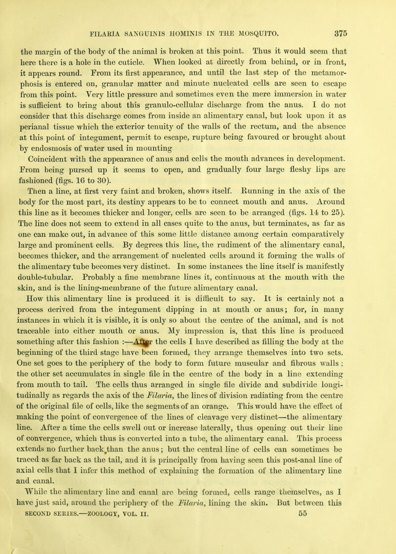 the margin of the body of the animal is broken at this point. Thus it would seem that here there is a hole in the cuticle. When looked at directly from behind, or in front, it appears round. Prom its first appearance, and until the last step of the metamor- phosis is entered on, granular matter and minute nucleated cells are seen to escape from this point. Very little pressure and sometimes even the mere immersion in water is sufficient to bring about this granulo-cellular discharge from the anus. I do not consider that this discharge comes from inside an alimentary canal, but look upon it as perianal tissue which the exterior tenuity of the walls of the rectum, and the absence at this point of integument, permit to escape, rupture being favoured or brought about by endosmosis of water used in mounting Coincident with the appearance of anus and cells the mouth advances in development. From being pursed up it seems to open, and gradually four large fleshy lips are fashioned (figs. 16 to 30). Then a line, at first very faint and broken, shows itself. Running in the axis of the body for the most part, its destiny appears to be to connect mouth and anus. Around this line as it becomes thicker and longer, cells are seen to be arranged (figs. 14 to 25). The line does not seem to extend in all cases quite to the anus, but terminates, as far as one can make out, in advance of this some little distance among certain comparatively large and prominent cells. By degrees this line, the rudiment of the alimentary canal, becomes thicker, and the arrangement of nucleated cells around it forming the walls of the alimentary tube becomes very distinct. In some instances the line itself is manifestly double-tubular. Probably a fine membrane lines it, continuous at the mouth with the skin, and is the lining-membrane of the future alimentary canal. How this alimentary line is produced it is difficult to say. It is certainly not a process derived from the integument dipping in at mouth or anus; for, in many instances in which it is visible, it is only so about the centre of the animal, and is not traceable into either mouth or anus. My impression is, that this line is produced something after this fashion :—Afjy the cells I have described as filling the body at the beginning of the third stage have been formed, they arrange themselves into two sets. One set goes to the periphery of the body to form future muscular and fibrous walls ; the other set accumulates in single file in the centre of the body in a line extending from mouth to tail. The cells thus arranged in single file divide and subdivide longi- tudinally as regards the axis of the Filaria, the lines of division radiating from the centre of the original file of cells, like the segments of an orange. This would have the effect of making the point of convergence of the lines of cleavage very distinct—the alimentary line. After a time the cells swell out or increase laterally, thus opening out their line of convergence, which thus is converted into a tube, the alimentary canal. This process extends no further back#than the anus; but the central line of cells can sometimes be traced as far back as the tail, and it is principally from having seen this post-anal line of axial cells that I infer this method of explaining the formation of the alimentary line and canal. While the alimentary line and canal are being formed, cells range themselves, as I have just said, around the periphery of the Filaria, lining the skin. But between this SECOND SERIES.—ZOOLOGY, VOL. II. 55 t
