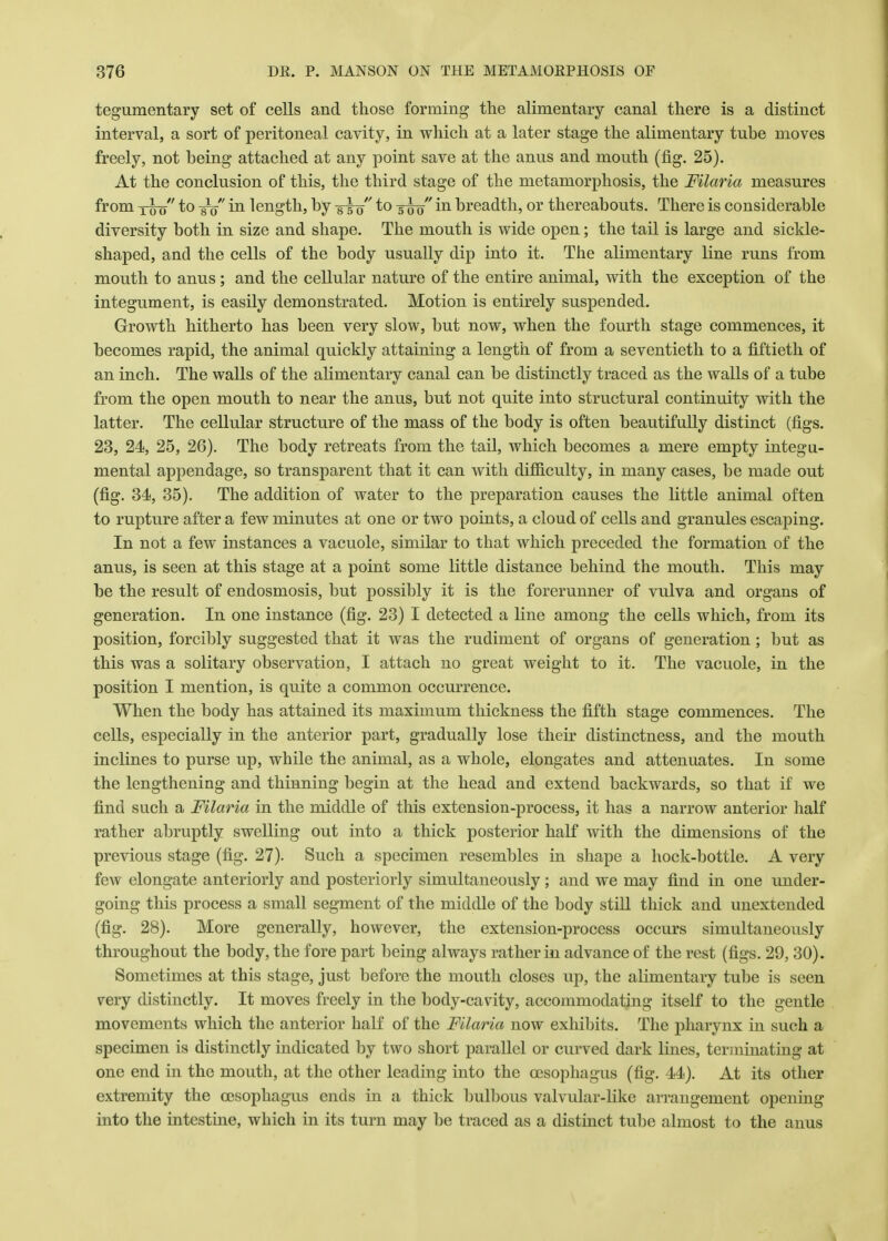 tegumentary set of cells and those forming the alimentary canal there is a distinct interval, a sort of peritoneal cavity, in which at a later stage the alimentary tube moves freely, not being attached at any point save at the anus and mouth (fig. 25). At the conclusion of this, the third stage of the metamorphosis, the Filaria measures from x^o to -gV' in length, by -gro to wo in breadth, or thereabouts. There is considerable diversity both in size and shape. The mouth is wide open; the tail is large and sickle- shaped, and the cells of the body usually dip into it. The alimentary line runs from mouth to anus ; and the cellular nature of the entire animal, with the exception of the integument, is easily demonstrated. Motion is entirely suspended. Growth hitherto has been very slow, but now, when the fourth stage commences, it becomes rapid, the animal quickly attaining a length of from a seventieth to a fiftieth of an inch. The walls of the alimentary canal can be distinctly traced as the walls of a tube from the open mouth to near the anus, but not quite into structural continuity with the latter. The cellular structure of the mass of the body is often beautifully distinct (figs. 23, 24, 25, 26). The body retreats from the tail, which becomes a mere empty integu- mental appendage, so transparent that it can with difficulty, in many cases, be made out (fig. 34, 35). The addition of water to the preparation causes the little animal often to rupture after a few minutes at one or two points, a cloud of cells and granules escaping. In not a few instances a vacuole, similar to that which preceded the formation of the anus, is seen at this stage at a point some little distance behind the mouth. This may be the result of endosmosis, but possibly it is the forerunner of vulva and organs of generation. In one instance (fig. 23) I detected a bine among the cells which, from its position, forcibly suggested that it was the rudiment of organs of generation; but as this was a solitary observation, I attach no great weight to it. The vacuole, in the position I mention, is quite a common occurrence. When the body has attained its maximum thickness the fifth stage commences. The cells, especially in the anterior part, gradually lose their distinctness, and the mouth inclines to purse up, while the animal, as a whole, elongates and attenuates. In some the lengthening and thinning begin at the head and extend backwards, so that if we find such a Filaria in the middle of this extension-process, it has a narrow anterior half rather abruptly swelling out into a thick posterior half with the dimensions of the previous stage (fig. 27). Such a specimen resembles in shape a hock-bottle. A very few elongate anteriorly and posteriorly simultaneously; and we may find in one under- going this process a small segment of the middle of the body still thick and unextended (fig. 28). More generally, however, the extension-process occurs simultaneously throughout the body, the fore part being always rather in advance of the rest (figs. 29, 30). Sometimes at this stage, just before the mouth closes up, the alimentary tube is seen very distinctly. It moves freely in the body-cavity, accommodating itself to the gentle movements which the anterior half of the Filaria now exhibits. The pharynx in such a specimen is distinctly indicated by two short parallel or curved dark lines, terminating at one end in the mouth, at the other leading into the oesophagus (fig. 44). At its other extremity the oesophagus ends in a thick bulbous valvular-like arrangement opening into the intestine, which in its turn may be traced as a distinct tube almost to the anus