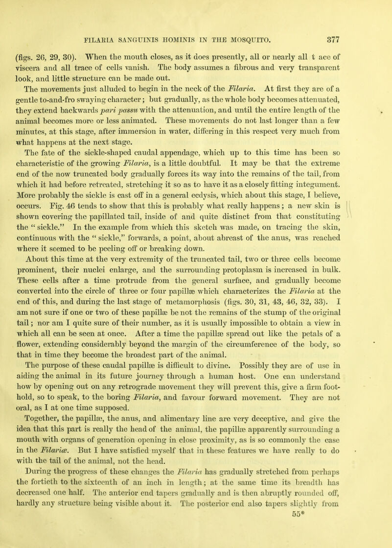 (figs. 26, 29, 30). When the mouth closes, as it does presently, all or nearly all t ace of viscera and all trace of cells vanish. The body assumes a fibrous and very transparent look, and little structure can be made out. The movements just alluded to begin in the neck of the Filaria. At first they are of a gentle to-and-fro swaying character; but gradually, as the whole body becomes attenuated, they extend backwards pari passu with the attenuation, and until the entire length of the animal becomes more or less animated. These movements do not last longer than a few minutes, at this stage, after immersion in water, differing in this respect very much from what happens at the next stage. The fate of the sickle-shaped caudal appendage, which up to this time has been so characteristic of the growing Filaria, is a little doubtful. It may be that the extreme end of the now truncated body gradually forces its way into the remains of the tail, from which it had before retreated, stretching it so as to have it as a closely fitting integument. More probably the sickle is cast off in a general ecdysis, which about this stage, I believe, occurs. Eig. 46 tends to show that this is probably what really happens ; a new skin is shown covering the papillated tail, inside of and quite distinct from that constituting the  sickle. In the example from which this sketch was made, on tracing the skin, continuous with the  sickle, forwards, a point, about abreast of the anus, was reached where it seemed to be peeling off or breaking down. About this time at the very extremity of the truncated tail, two or three cells become prominent, their nuclei enlarge, and the surrounding protoplasm is increased in bulk. These cells after a time protrude from the general surface, and gradually become converted into the circle of three or four papillae which characterizes the Filaria at the end of this, and during the last stage of metamorphosis (figs. 30, 31, 43, 46, 32, 33). I am not sure if one or two of these papillae be not the remains of the stump of the original tail; nor am I quite sure of their number, as it is usually impossible to obtain a view in which all can be seen at once. After a time the papillae spread out like the petals of a flower, extending considerably beyond the margin of the circumference of the body, so that in time they become the broadest part of the animal. The purpose of these caudal papillae is difficult to divine. Possibly they are of use in aiding the animal in its future journey through a human host. One can understand how by opening out on any retrograde movement they will prevent this, give a firm foot- hold, so to speak, to the boring Filaria, and favour forward movement. They are not oral, as I at one time supposed. Together, the papillae, the anus, and alimentary line are very deceptive, and give the idea that this part is really the head of the animal, the papillae apparently surrounding a mouth with organs of generation opening in close proximity, as is so commonly the case in the Filaria?. But I have satisfied myself that in these features we have really to do with the tail of the animal, not the head. During the progress of these changes the Filaria has gradually stretched from perhaps the fortieth to the sixteenth of an inch in length; at the same time its breadth has decreased one half. The anterior end tapers gradually and is then abruptly rounded off, hardly any structure being visible about it. The posterior end also tapers slightly from 55*