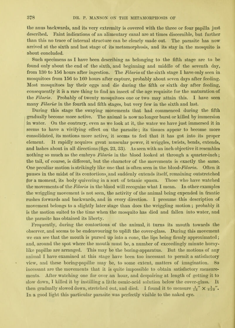 the anus backwards, and its very extremity is covered with the three or four papilla just described. Faint indications of an alimentary canal are at times discernible, but further than this no trace of internal structure can be clearly made out. The parasite has now arrived at the sixth and last stage of its metamorphosis, and its stay in the mosquito is about concluded. Such specimens as I have been describing as belonging to the fifth stage are to be found only about the end of the sixth, and beginning and middle of the seventh day, from 130 to 156 hours after ingestion. The Filaria of the sixth stage I have only seen in mosquitoes from 156 to 160 hours after capture, probably about seven days after feeding. Most mosquitoes lay their eggs and die during the fifth or sixth day after feeding, consequently it is a rare thing to find an insect of the age requisite for the maturation of the Filaria. Probably of twenty mosquitoes one or two may attain this. I have seen many Filaria in the fourth and fifth stages, but very few in the sixth and last. During this stage the swaying movements that had commenced during the fifth gradually become more active. The animal is now no longer burst or killed by immersion in water. On the contrary, even as we look at it, the water we have just immersed it in seems to have a vivifying effect on the parasite; its tissues appear to become more consolidated, its motions more active, it seems to feel that it has got into its proper element. It rapidly acquires great muscular power, it wriggles, twists, bends, extends, and lashes about in all directions (figs. 23, 33). As seen with an inch objective it resembles nothing so much as the embryo Filaria in the blood looked at through a quarter-inch; the tail, of course, is different, but the character of the movements is exactly the same. One peculiar motion is strikingly like one that is often seen in the blood-Filaria. Often it pauses in the midst of its contortions? and suddenly extends itself, remaining outstretched for a moment, its body quivering in a sort of tetanic spasm. Those who have watched the movements of the Filaria in the blood will recognize what I mean. In other examples the wriggling movement is not seen, the activity of the animal being expended in frantic rushes forwards and backwards, and in every direction. I presume this description of movement belongs to a slightly later stage than does the wriggling motion ; probably it- is the motion suited to the time when the mosquito has died and fallen into water, and the parasite has obtained its liberty. Frequently, during the contortions of the animal, it turns its mouth towards the observer, and seems to be endeavouring to uplift the cover-glass. During this movement we can see that the mouth is pursed up into a cone, the lips being firmly approximated; and, around the spot where the mouth must be, a number of exceedingly minute horny- like papillae are arranged. This may be the boring-apparatus. But the motions of any animal I have examined at this stage have been too incessant to permit a satisfactory view, and these boring-papillae may be, to some extent, matters of imagination. So incessant are the movements that it is quite impossible to obtain satisfactory measure- ments. After watching one for over an hour, and despairing at length of getting it to slow down, I killed it by instilling a little osmic-acid solution below the cover-glass. It then gradually slowed down, stretched out, and died. I found it to measure X who' In a good light this particular parasite was perfectly visible to the naked eye.