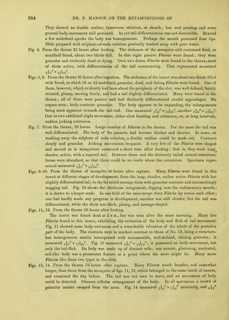 They showed no double outline, transverse striation, or sheath; but oval pouting and some general body-movement still persisted. As yet tail-differentiation was not discernible. Beyond a few undefined specks the body was homogeneous. Perhaps the mouth possessed four lips. Slide prepared with sulphate-of-soda solution gradually washed away with pure water. Fig. 4. From the thorax 25 hours after feeding. The abdomen of the mosquito still contained fluid, or semifluid blood, about two thirds full. In this eight passive Filarial were found; they were granular and evidently dead or dying. Over two dozen Filarial were found in the thorax, most of them active, with differentiation of the tail commencing. That represented measured _J_ v - J - 100 A 2500 * Figs. 5, 6. From the thorax 35 hours after ingestion. The abdomen of the insect was about two thirds filled with blood, in which 12 or 13 undefined, granular, dead, and fading Filarial were found. One of them, however, which evidently had been about the periphery of the clot, was well defined, faintly striated, plump, moving freely, and had a tail slightly differentiated. Many were found in the thorax; all of these were passive and had distinctly differentiated caudal appendages. No organs seen; body-contents granular. The body appears to be expanding, the enlargements being most apparent towards the tail end. One measured i0ox 300o> another T£0x 23oo- One or two exhibited slight movement, either slow bending and extension, or, at long intervals, sudden jerking extension. Fig. 7. From the thorax, 39 hours. Large number of Filarial in the thorax. For the most the tail was well differentiated. The body of the parasite had become thicker and shorter. In some, on washing away the sulphate of soda solution, a double outline could be made out. Contents cloudy and granular. Jerking movements frequent. A very few of the Filarice were shaped and moved as in mosquitoes examined a short time after feeding; that is, they were long^ slender, active, with a tapered tail. Between these and the distinctly tailed animal transition- forms were abundant, so that there could be no doubt about the connexion. Specimen repre- sented measured T£5 x 2mjo- Figs. 8-10. From the thorax of mosquito 46 hours after capture. Many Filarial were found in this insect at different stages of development, from the long, slender, rather active Filaria with but slightly differentiated tail, to the fat tailed sausage-form with granular contents and intermittingly wagging tail. Fig. 10 shows the chitinous integument, dipping into the rudimentary mouth; it is drawn to a larger scale. In one field of the microscope three Filarice lay across each other; one had hardly made any progress in development, another was still slender, but the tail was differentiated, while the third was thick, plump, and sausage-shaped. Figs. 11, 12. From the thorax 56 hours after feeding. The insect was found dead at 2 p.m., but was seen alive the same morning. Many live Filarial found in this insect, exhibiting the extension of the body and flick of tail movement. Fig. 11 showed some body-extension and a remarkable vibration of the whole of the posterior part of the body. The contents were in marked contrast to those of No. 12, being a structure- less homogeneous matrix interspersed with innumerable, well-defined, shining granules; it measured T£5 x p^o'. Fig. 12 measured T*b x \lko > possessed no body-movement, but only the tail-flick. Its body was made up of distinct cells; one minute, glistening, nucleated, cell-like body was a prominent feature at a point where the anus might be. Many more Filarial like these two types in the slide. Figs. 13, 14. From the thorax 72 hours after capture. Many Filarial much broader, and somewhat longer, than those from the mosquito of figs. 11, 12, which belonged to the same batch of insects, and examined the day before. The tail was not seen to move, and no movement of body could be detected. Obscure cellular arrangement of the body. In all specimens a crowd of granular matter escaped from the anus. Fig. 14 measured T[0 x TJ0 anteriorly, and