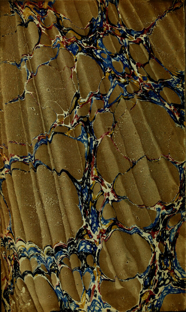 digitised image 2