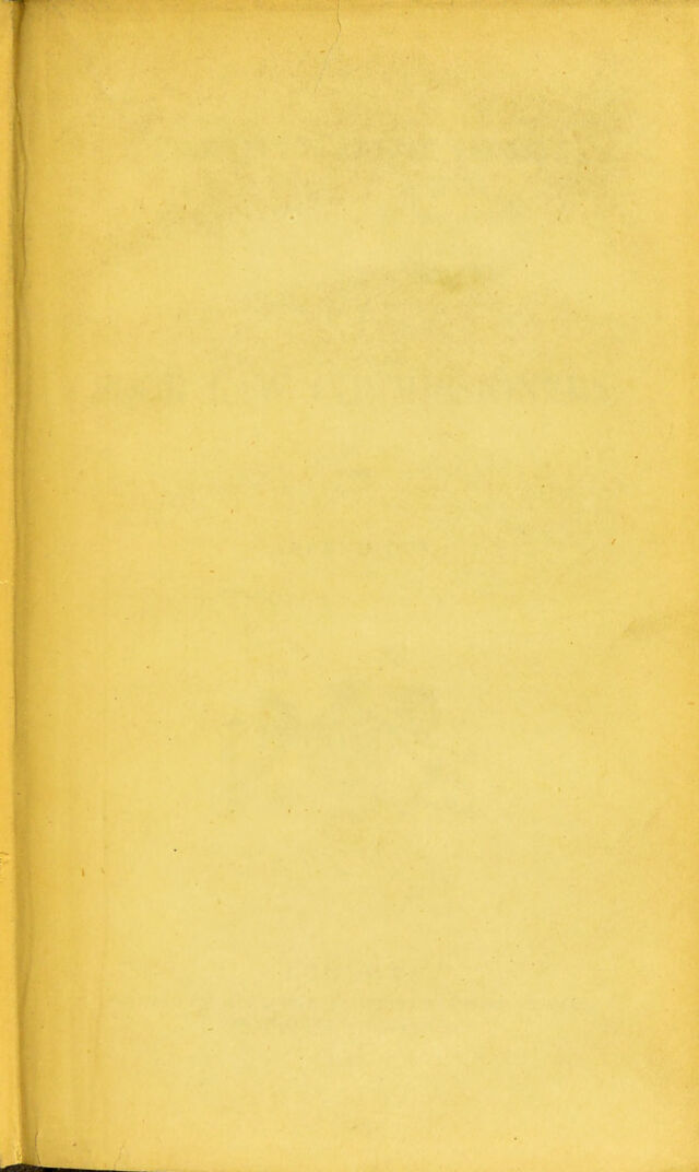 digitised image 3