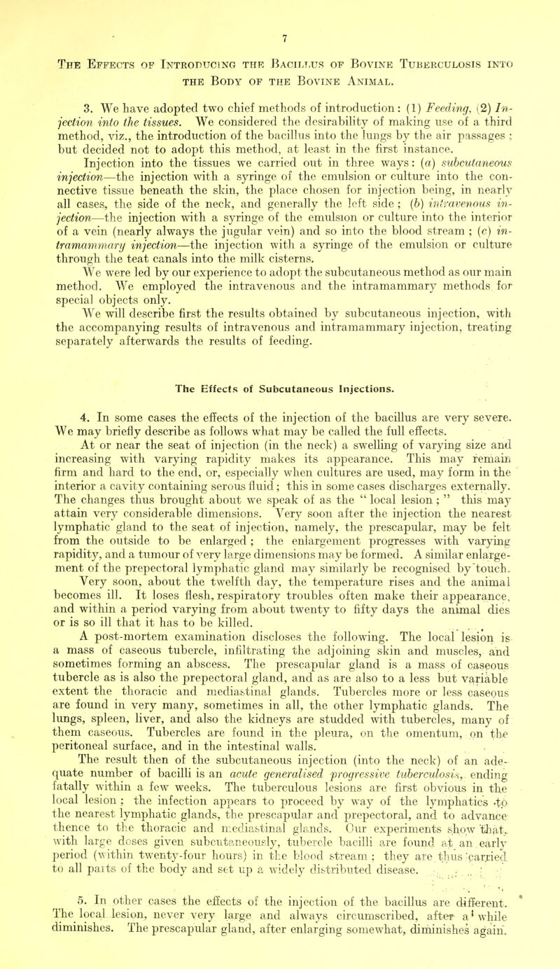 The Effects of Introducing the Bacillus of Bovine Tuberculosis into the Body of the Bovine Animal. 3. We have adopted two chief methods of introduction: (1) Feeding, (2) In- jection into the tissues. We considered the desirability of making use of a third method, viz., the introduction of the bacillus into the lungs by the air passages ; but decided not to adopt this method, at least in the first instance. Injection into the tissues we carried out in three ways: (a) subcutaneous- injection—the injection with a syringe of the emulsion or culture into the con- nective tissue beneath the skin, the place chosen for injection being, in nearly all cases, the side of the neck, and generally the left side ; (b) intravenous in- jection—the injection with a syringe of the emulsion or culture into the interior of a vein (nearly always the jugular vein) and so into the blood stream ; (c) in- tramammary injection—the injection with a syringe of the emulsion or culture through the teat canals into the milk cisterns. We were led by our experience to adopt the subcutaneous method as our main method. We employed the intravenous and the intramammary methods for special objects only. We will describe first the results obtained by subcutaneous injection, with the accompanying results of intravenous and intramammary injection, treating separately afterwards the results of feeding. The Effects of Subcutaneous Injections. 4. In some cases the effects of the injection of the bacillus are very severe. We may briefly describe as follows what may be called the full effects. At or near the seat of injection (in the neck) a swelling of varying size and increasing with varying rapidity makes its appearance. This may remain firm and hard to the end, or, especially when cultures are used, may form in the interior a cavity containing serous fluid; this in some cases discharges externally. The changes thus brought about we speak of as the  local lesion ;  this may attain very considerable dimensions. Very soon after the injection the nearest lymphatic gland to the seat of injection, namely, the prescapular, may be felt from the outside to be enlarged ; the enlargement progresses with varying rapidity, and a tumour of very large dimensions may be formed. A similar enlarge- ment of the prepectoral lymphatic gland may similarly be recognised by touch. Very soon, about the twelfth day, the temperature rises and the animal becomes ill. It loses flesh, respiratory troubles often make their appearance, and within a period varying from about twenty to fifty days the animal dies or is so ill that it has to be killed. A post-mortem examination discloses the following. The local lesion is a mass of caseous tubercle, infiltrating the adjoining skin and muscles, and sometimes forming an abscess. The prescapular gland is a mass of caseous tubercle as is also the prepectoral gland, and as are also to a less but variable extent the thoracic and mediastinal glands. Tubercles more or less caseous are found in very many, sometimes in all, the other lymphatic glands. The lungs, spleen, liver, and also the kidneys are studded with tubercles, many of them caseous. Tubercles are found in the pleura, on the omentum, on the peritoneal surface, and in the intestinal walls. The result then of the subcutaneous injection (into the neck) of an ade- quate number of bacilli is an acute generalised progressive tuberculosis,, ending fatally within a few weeks. The tuberculous lesions are first obvious in the local lesion ; the infection appears to proceed by way of the lymphatics .to the nearest lymphatic glands, the prescapular and prepectoral, and to advance- thence to the thoracic and mediastinal glands. Our experiments show 'that,, with large doses given subcutaneously, tubercle bacilli are found at an. early period (within twenty-four hours) in the blood stream; they are thus'carried to all paits of the body and set up a widely distributed disease. . .. ; 5. In other cases the effects of the injection of the bacillus are different. * The local lesion, never very large and always circumscribed, after- a1 while diminishes. The prescapular gland, after enlarging somewhat, diminishes again.