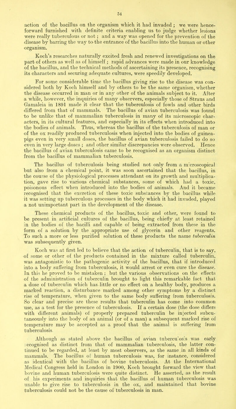 action of the bacillus on the organism which it had invaded ; we were hence- forward furnished with definite criteria enabling us to judge whether lesions were really tuberculous or not; and a way was opened for the prevention of the disease by barring the way to the entrance of the bacillus into the human or other organism. Koch's researches naturally excited fresh and renewed investigations on the part of others as well as of himself ; rapid advances were made in our knowledge of the bacillus, and the technical methods of ascertaining its presence, recognising its characters and securing adequate cultures, were speedily developed. For some considerable time the bacillus giving rise to the disease was con- sidered both by Koch himself and by others to be the same organism, whether the disease occurred in man or in any other of the animals subject to it. After a while, however, the inquiries of many observers, especially those of Straus and Gamaleia in 1891 made it clear that the tuberculosis of fowls and other birds differed from that of mammals. The bacillus of avian tuberculosis was found to be unlike that of mammalian tuberculosis in many of its microscopic char- acters, in its cultural features, and especially in its effects when introduced into the bodies of animals. Thus, whereas the bacillus of the tuberculosis of man or of the ox readily produced tuberculosis when injected into the bodies of guinea- pigs even in very small doses, the bacillus of avian tuberculosis failed to do so even in very large doses ; and other similar discrepancies were observed. Hence the bacillus of avian tuberculosis came to be recognised as an organism distinct from the bacillus of mammalian tuberculosis. The bacillus of tuberculosis being studied not only from a mxroscopical but also from a chemical point, it was soon ascertained that the bacillus, in the course of the physiological processes attendant on its growth and multiplica- tion, gave rise to various chemical substances, some of which had a toxic, poisonous effect when introduced into the bodies of animals. And it became recognised that the excretion of these toxic substances by the bacillus while it was setting up tuberculous processes in the body which it had invaded, played a not unimportant part in the development of the disease. These chemical products of the bacillus, toxic and other, were found to be present in artificial cultures of the bacillus, being chiefly at least retained in the bodies of the bacilli and capable of being extracted from these in the form of a solution by the appropriate use of glycerin and other reagents. To such a more or less purified solution of these products the name tuberculin was subsequently given. Koch was at first led to believe that the action of tuberculin, that is to say, of some or other of the products contained in the mixture called tuberculin, was antagonistic to the pathogenic activity of the bacillus, that if introduced into a body suffering from tuberculosis, it would arrest or even cure the disease. In this he proved to be mistaken ; but the various observations on the effects of the administration of tuberculin brought to light this remarkable fact that a dose of tuberculin which has.little or no effect on a healthy body, produces a marked reaction, a disturbance marked among other symptoms by a distinct rise of temperature, when given to the same body suffering from tuberculosis. So clear and precise are these results that tuberculin has come into common use, as a test for the presence of tuberculosis. If a certain dose (the dose differs with different animals) of properly prepared tuberculin be injected subcu- taneously into the body of an animal (or of a man) a subsequent marked rise of temperature may be accepted as a proof that the animal is suffering from tuberculosis. Although as stated above the bacillus of avian tuberculosis was early recognised as distinct from that of mammalian tuberculosis, the latter con- tinued to be regarded, at least by most observers, as the same in all kinds of mammals. The bacillus of human tuberculosis was, for instance, considered as identical with the bacillus of bovine tuberculosis. At the International Medical Congress held in London in 1900, Koch brought forward the view that bovine and human tuberculosis were quite distinct. He asserted, as the result of his experiments and inquiries that the bacillus of human tuberculosis was unable to give rise to tuberculosis in the ox, and maintained that bovine tuberculosis could not be the cause of tuberculosis in man.