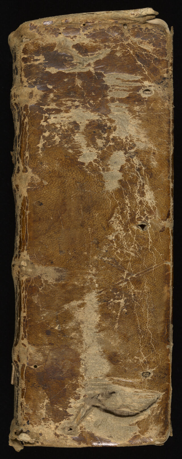 No text description is available for this image