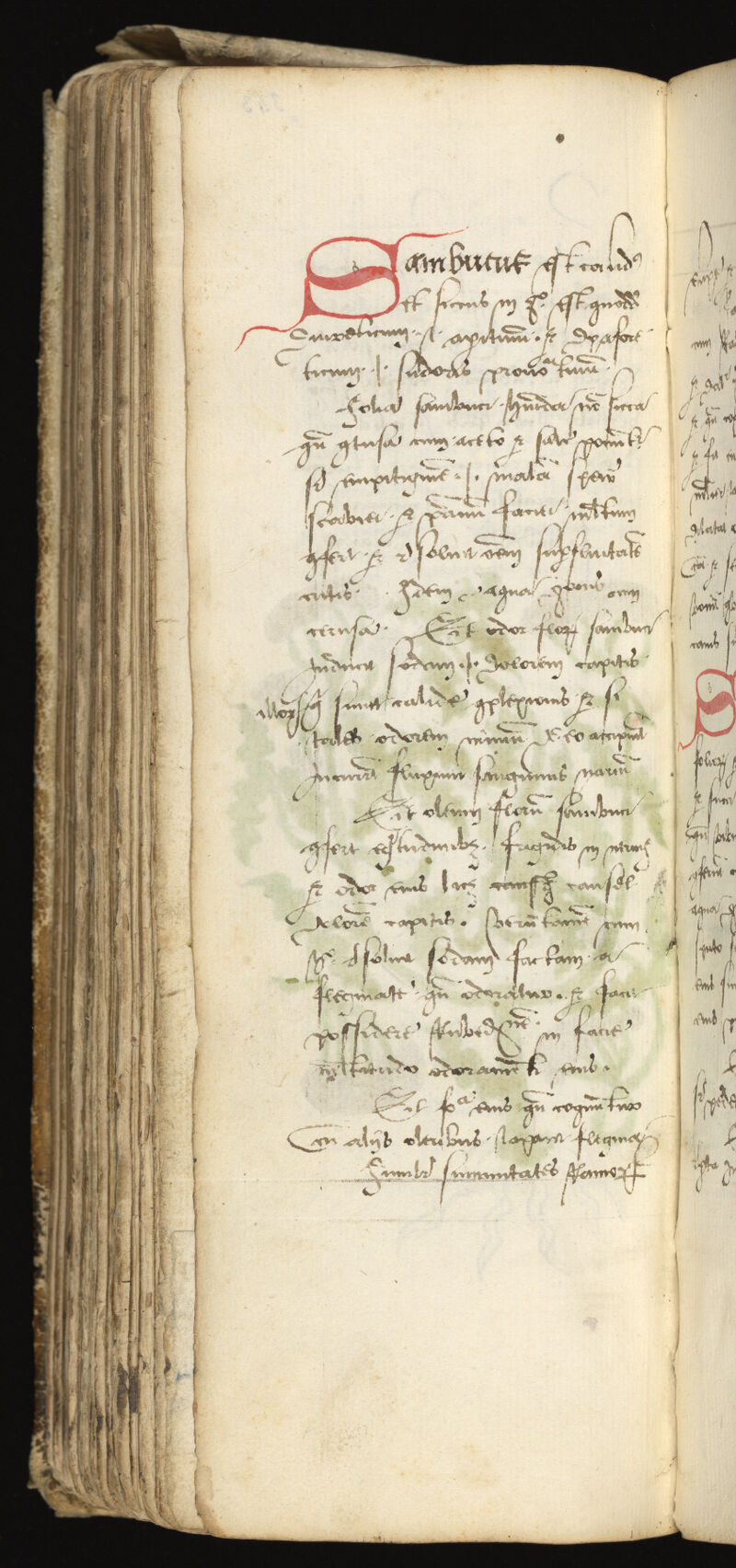 No text description is available for this image