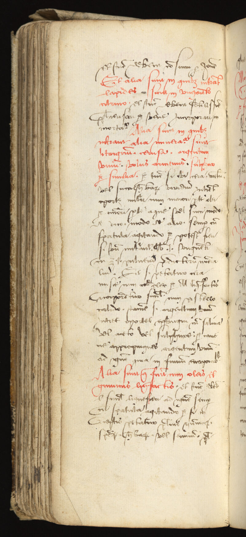 No text description is available for this image