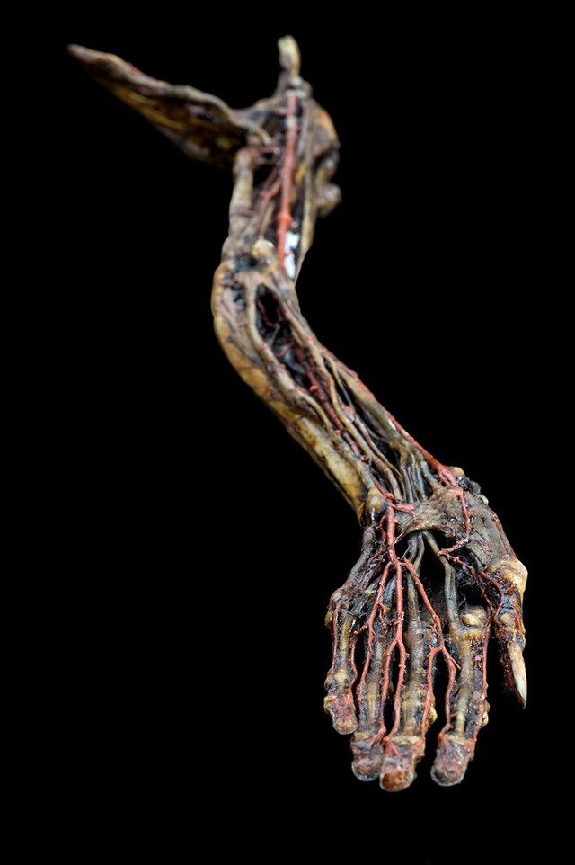 No text description is available for this image