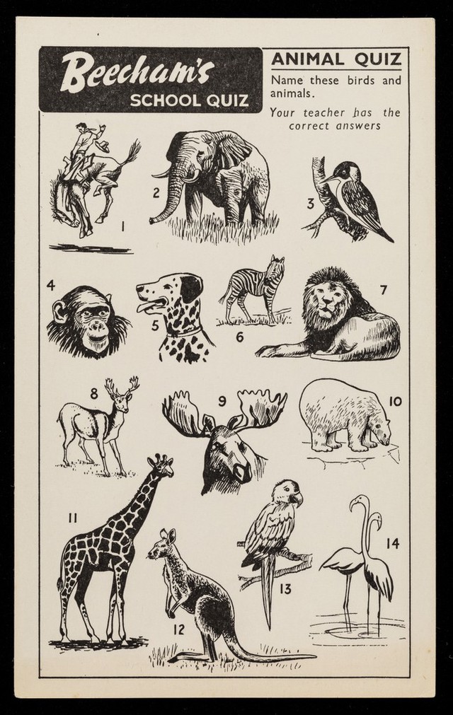 No text description is available for this image