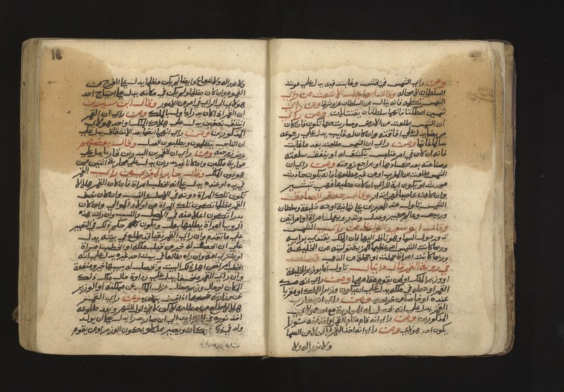 No text description is available for this image