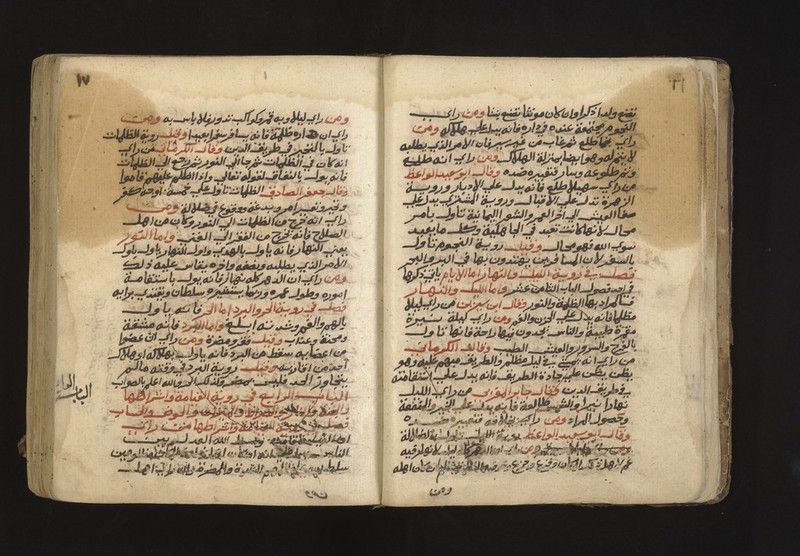 No text description is available for this image