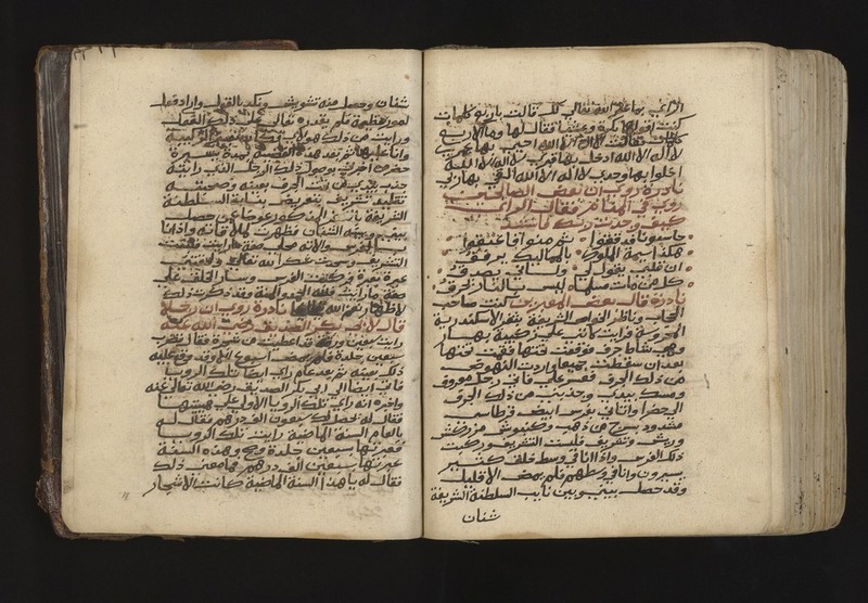 No text description is available for this image