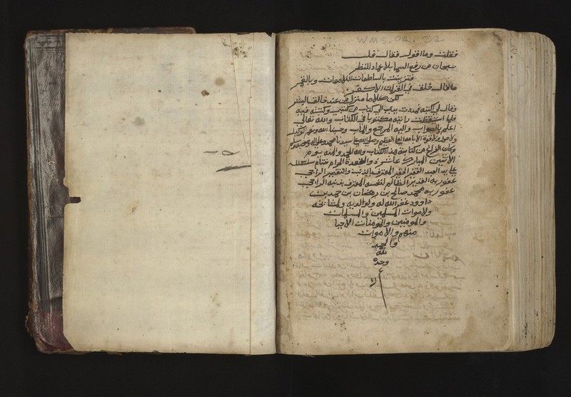 No text description is available for this image