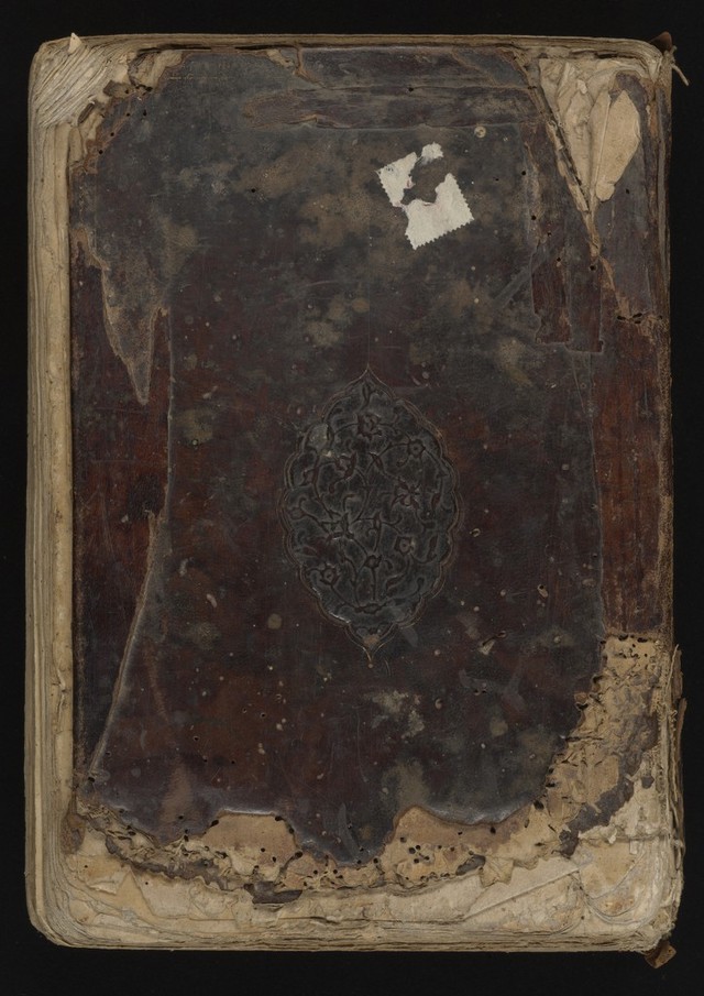 digitised image 1