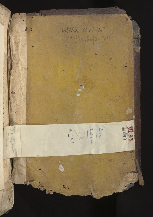 digitised image 2