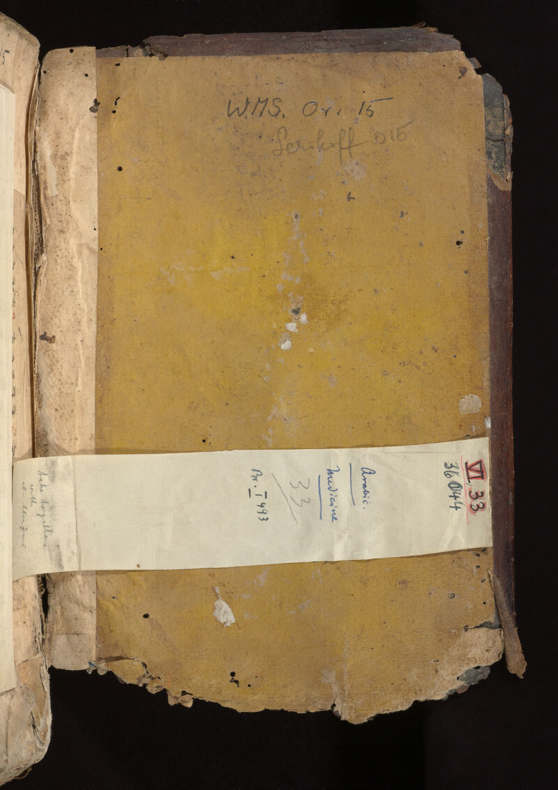 No text description is available for this image