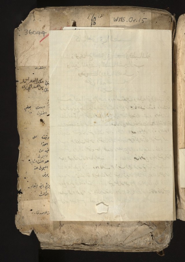 digitised image 3