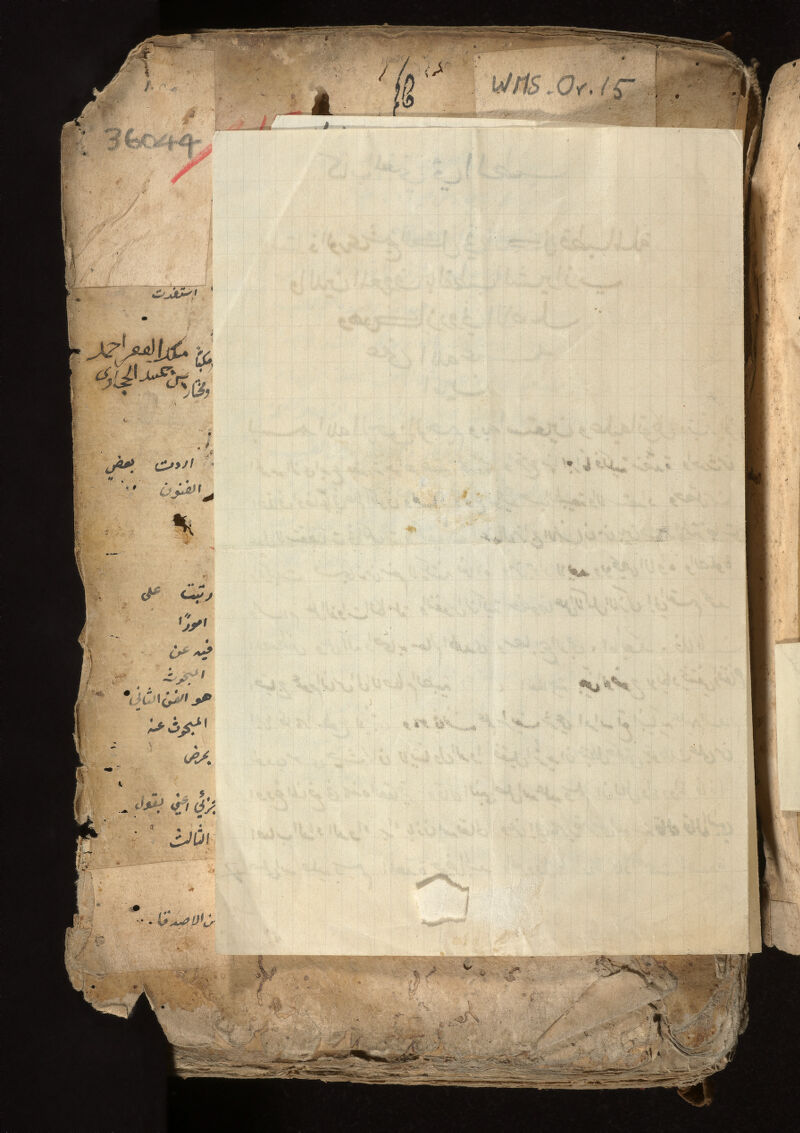 No text description is available for this image