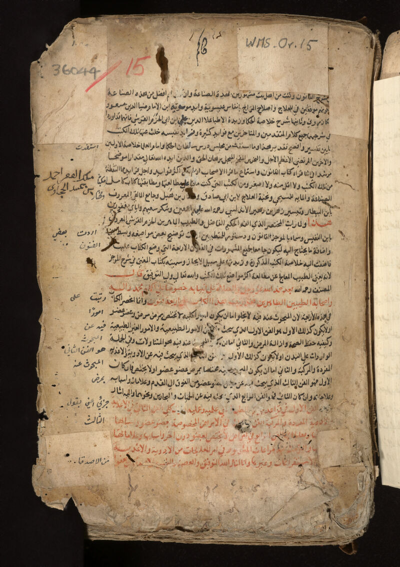 No text description is available for this image