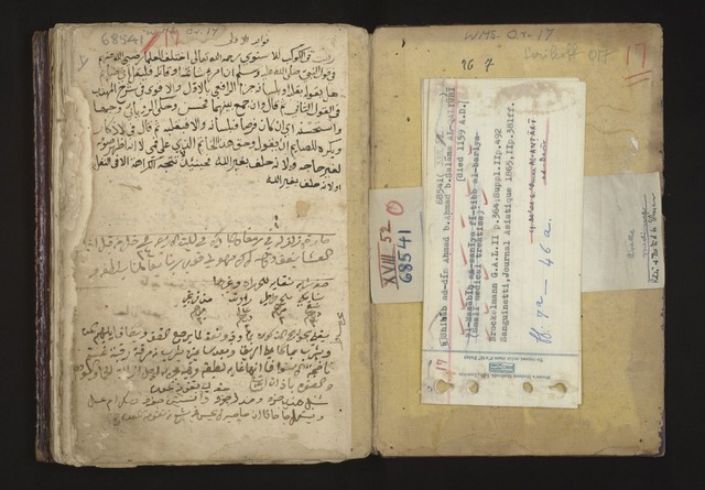 No text description is available for this image