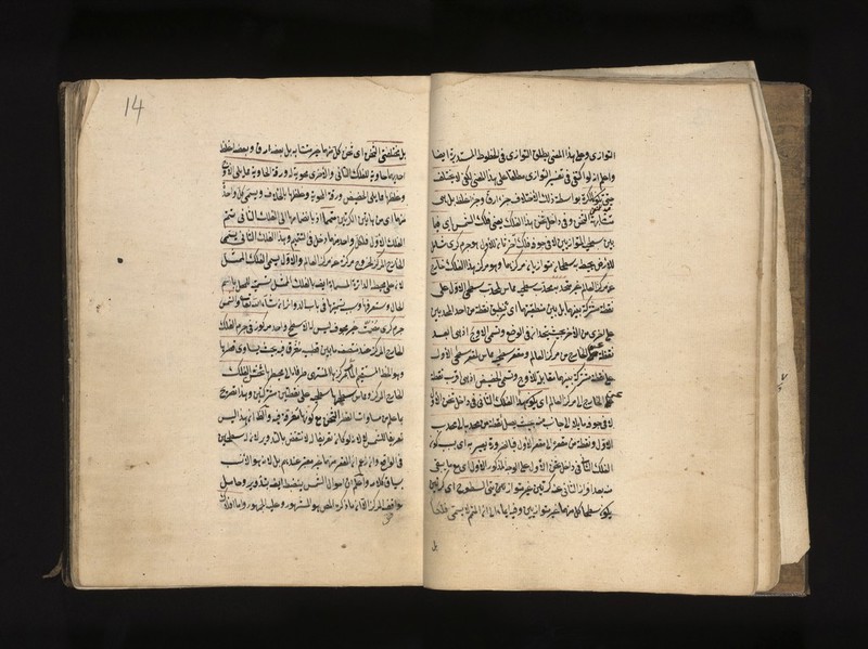 No text description is available for this image