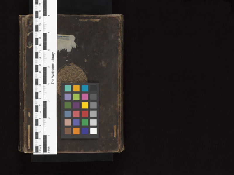 No text description is available for this image