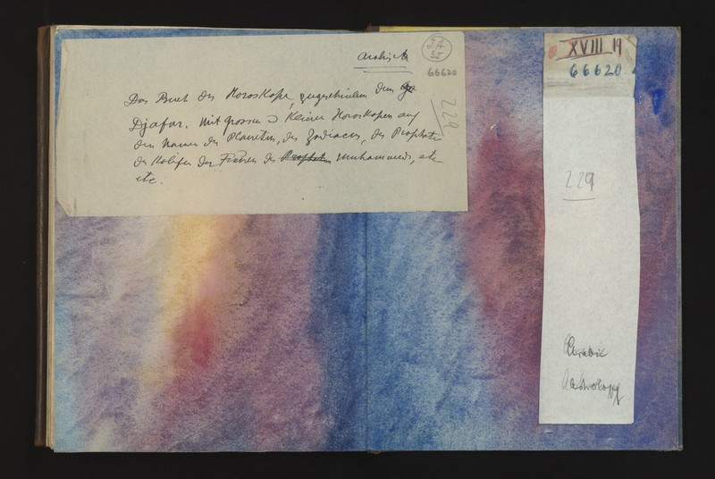 No text description is available for this image