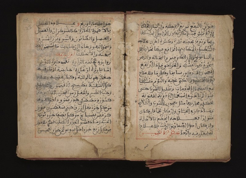 No text description is available for this image