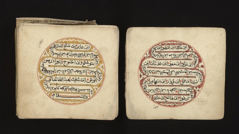 No text description is available for this image