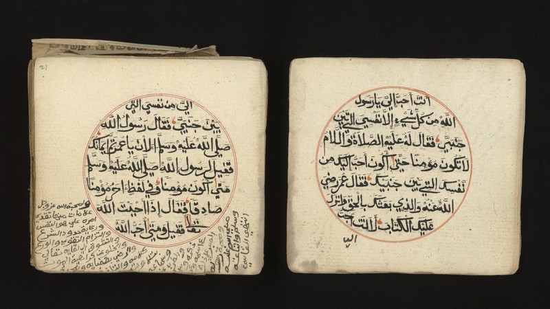 No text description is available for this image