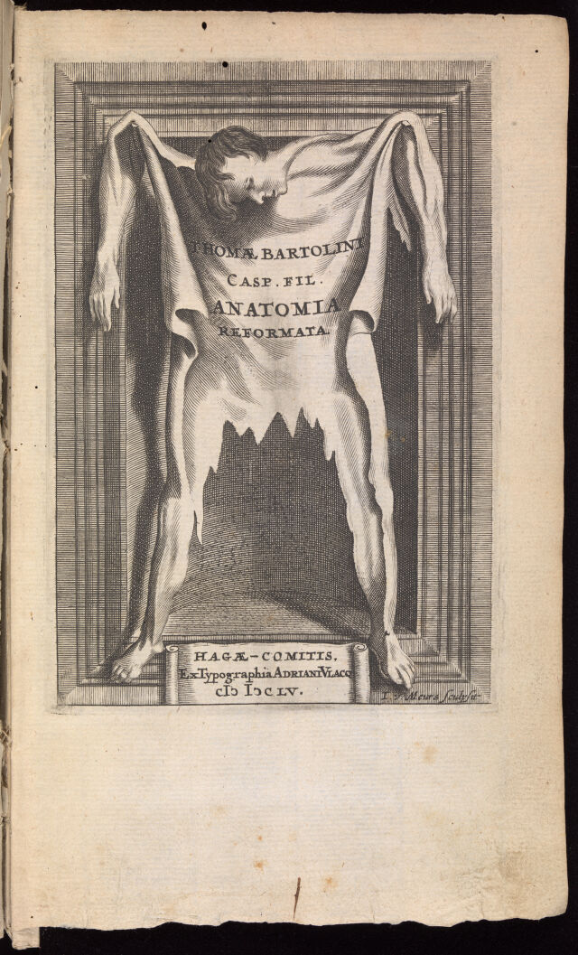digitised image 1
