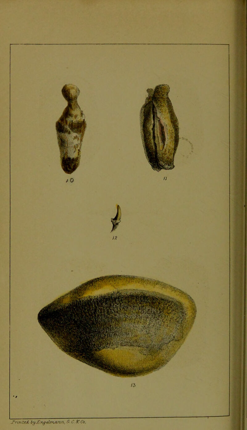 Trcn ltd, by£rujcLnvvin, Sr. C. SC Co.