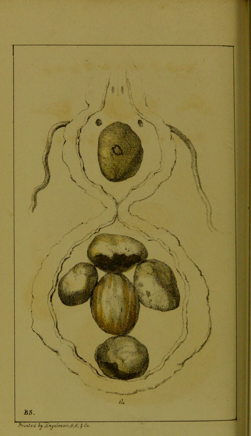 Printed by £iny*l*ruuvtC, Ce.