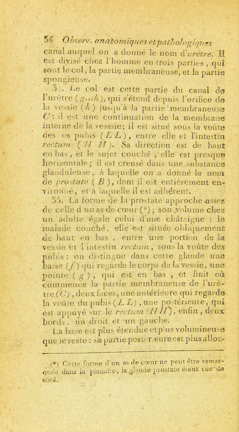 5^ Observ. onaiomiques cLpathoIog/ques canal aurjutl on a donné le nom ô^urct,re. Il est di\fisé chez riioinine en (rois parties , qui sont le col, la partie membraneuse, et la partie spongieuse. 3 . Le col est cette partie du canal de rurètre qui s’étend depuis l’orifice de la vessie (A) jusijnà la partie ' membraneuse C: il est une continuation de la membiaae interne de la vesssie; il est situé sous la voûte des os pubis ( Z/Z/) , entre elle et l’intestin rectum. ( il H ). Sa direction est de haut en bas, et le sujet couché , elle est presque îiorizontale ; il est creusé dans une .substance glanduleuse, à laquelle on a donné le nom de pro state { B ), dont il est entièrement en- Viiomié, et à laquelle il est adhérent. 55. La tonne de la prostate ap[uocbe >assez de celle d un as de cœur (^) ; son .volume chez un adulte égale celui d’une châtaigne : le malade couché, elle est située obliquement de liaut eu bas , entre une portion de la vessie et liritestin rectum, sous la voûte des pubis : on distingue dans cette glande une ba^se C/') qui regarde le corps de la vessie, une pointe ( ^' ) , qui e.5t en bas , et finit où commence la partie membraneuse de l’urè- tre (C; , deux faces, une antérieure qui regard© la voûie du pubis (Z Z;) ,une pouérieure, qui est ap[)uyé sur le rectum (HH'), enfin, deux bords , un droit et un gauche. La base est plu.s étendue et p us volumineuse que te reste : ^apartieposttr eureestpiusallom (•'^) CettR Forme cl nn as de cœur ne peut être remar- qm-e dans la pianche-, la ghxide prostate étant vue'de GÔté.