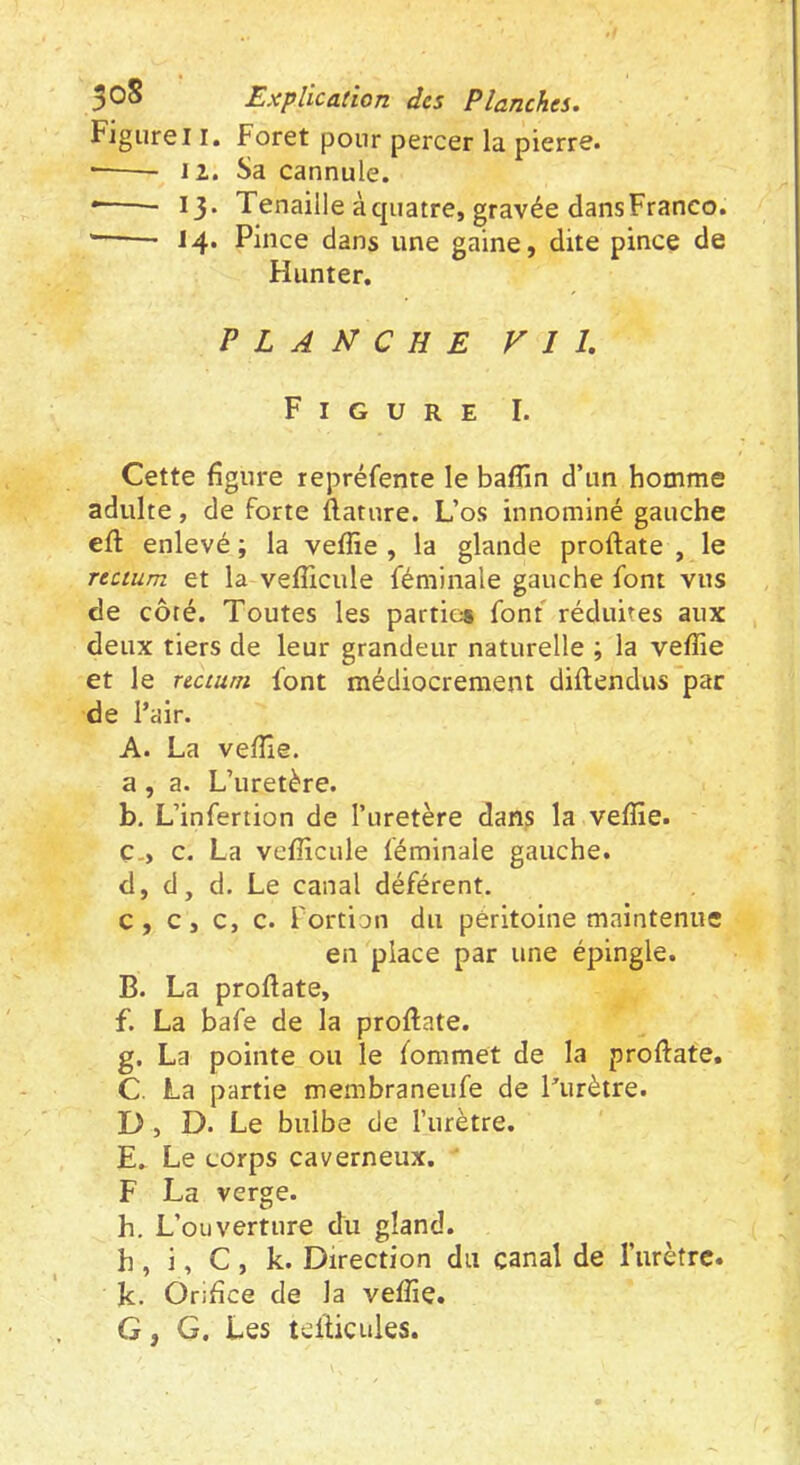 Figure11. Foret pour percer la pierre. 11, Sa cannule. • 13. Tenaille à quatre, gravée dansFranco. '—'— 14. Pince dans une gaine, dite pince de Hanter, PLANCHE Vil. Figure I. Cette figure repréfente le bafîin d’un homme adulte, de forte ilature. L’os innominé gauche eft enlevé ; la veffie , la glande proftate , le rectum et la veflicule féminale gauche font vus de côté. Toutes les partie» font réduites aux deux tiers de leur grandeur naturelle ; la veffie et le rectum font médiocrement diftenduspar de l’air. A. La veffie. a, a. L’uretère. b, L’infertion de l’uretère dans la veffie. Ç-, c. La vefficule féminale gauche. d, d, d. Le canal déférent. c, c, c, c. i'ortian du péritoine maintenue en place par une épingle. B. La proftate, f. La hafe de la proftate. g. La pointe ou le fommet de la proftate. C. La partie memhraneufe de l’urètre. D. D. Le hulhe de l’urètre. E. Le corps caverneux, ‘ F La verge. h. L’ouverture du gland. h , i, C , k. Direction du canal de l’urètre, k. Orifice de la veffie. G, G. Les tefticLiles.