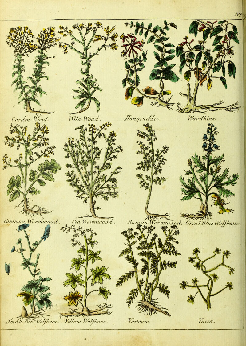 No text description is available for this image